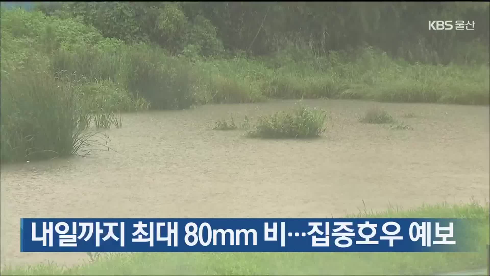 울산 내일까지 최대 80mm 비…집중호우 예보