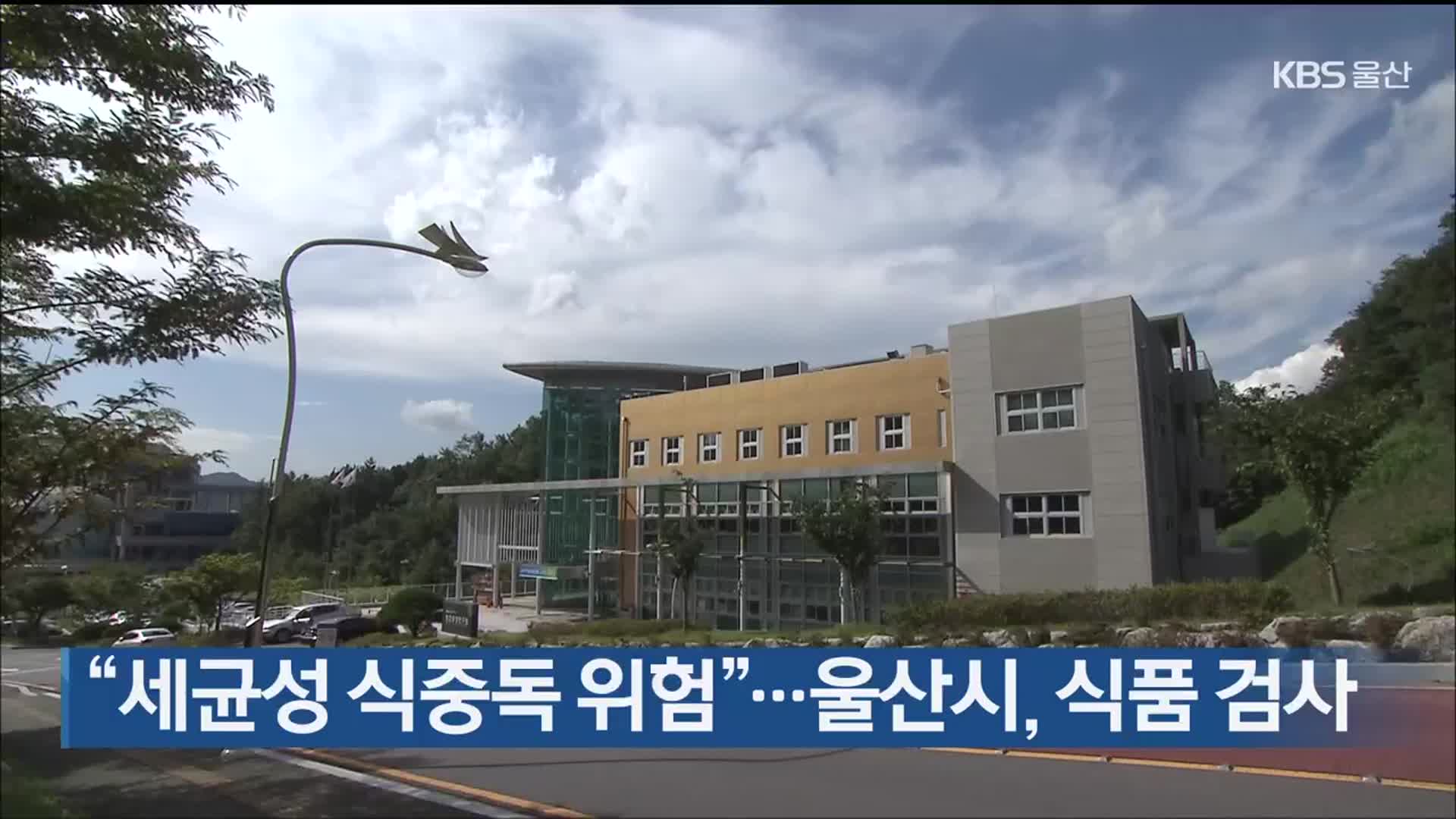 “세균성 식중독 위험”…울산시, 식품 검사