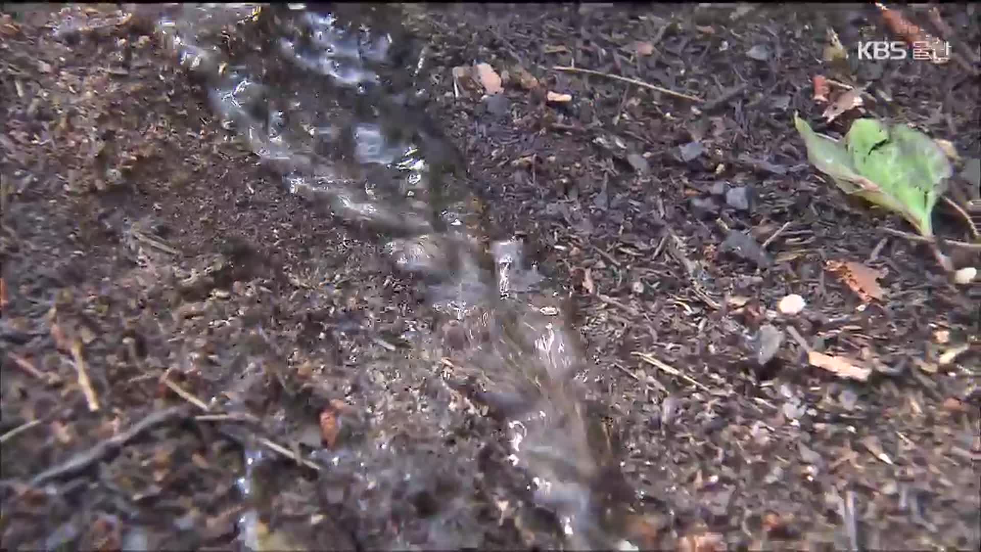 산불 현장 가보니…“토양 변해 산사태 취약”