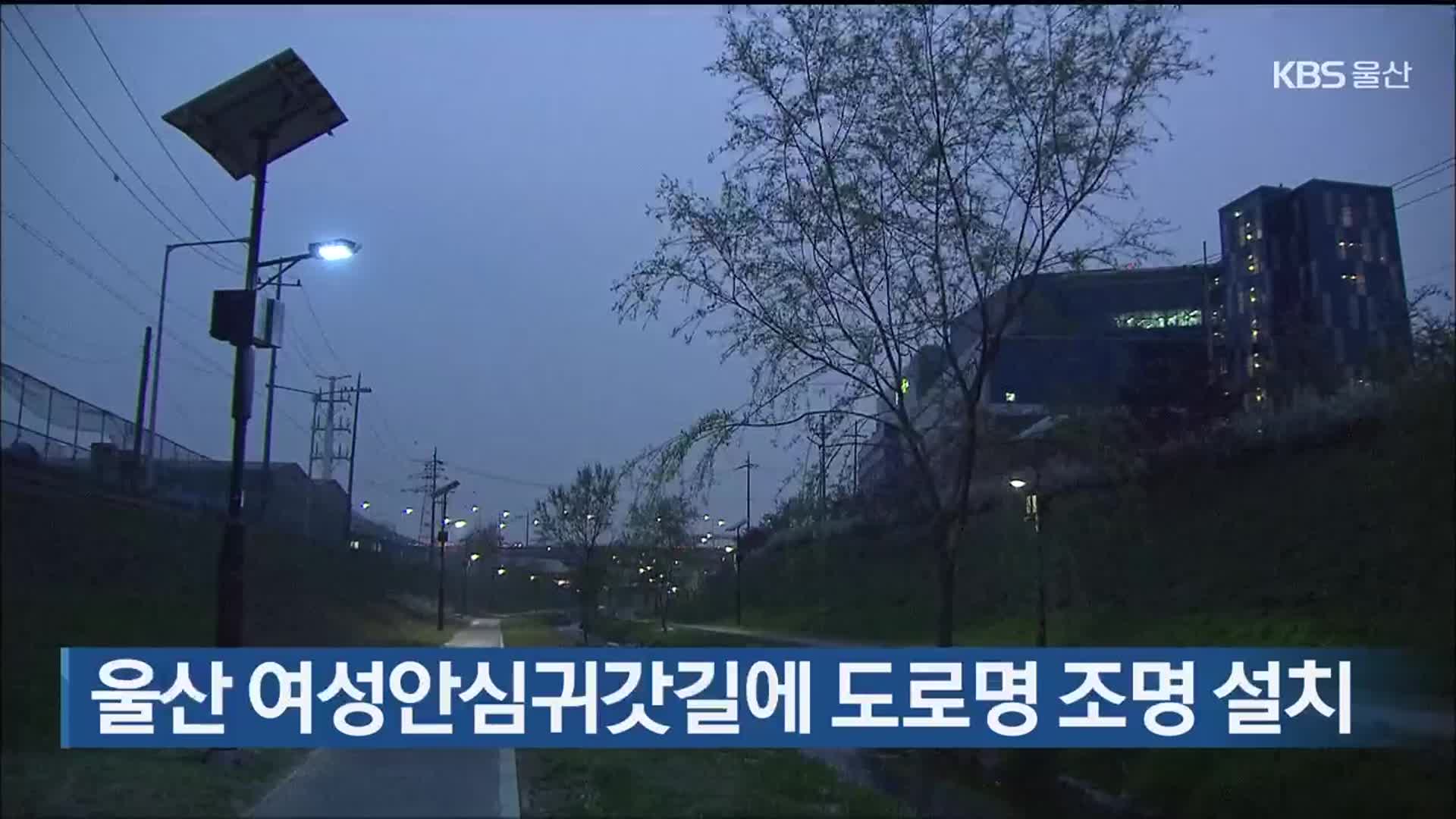 울산 여성안심귀갓길에 도로명 조명 설치