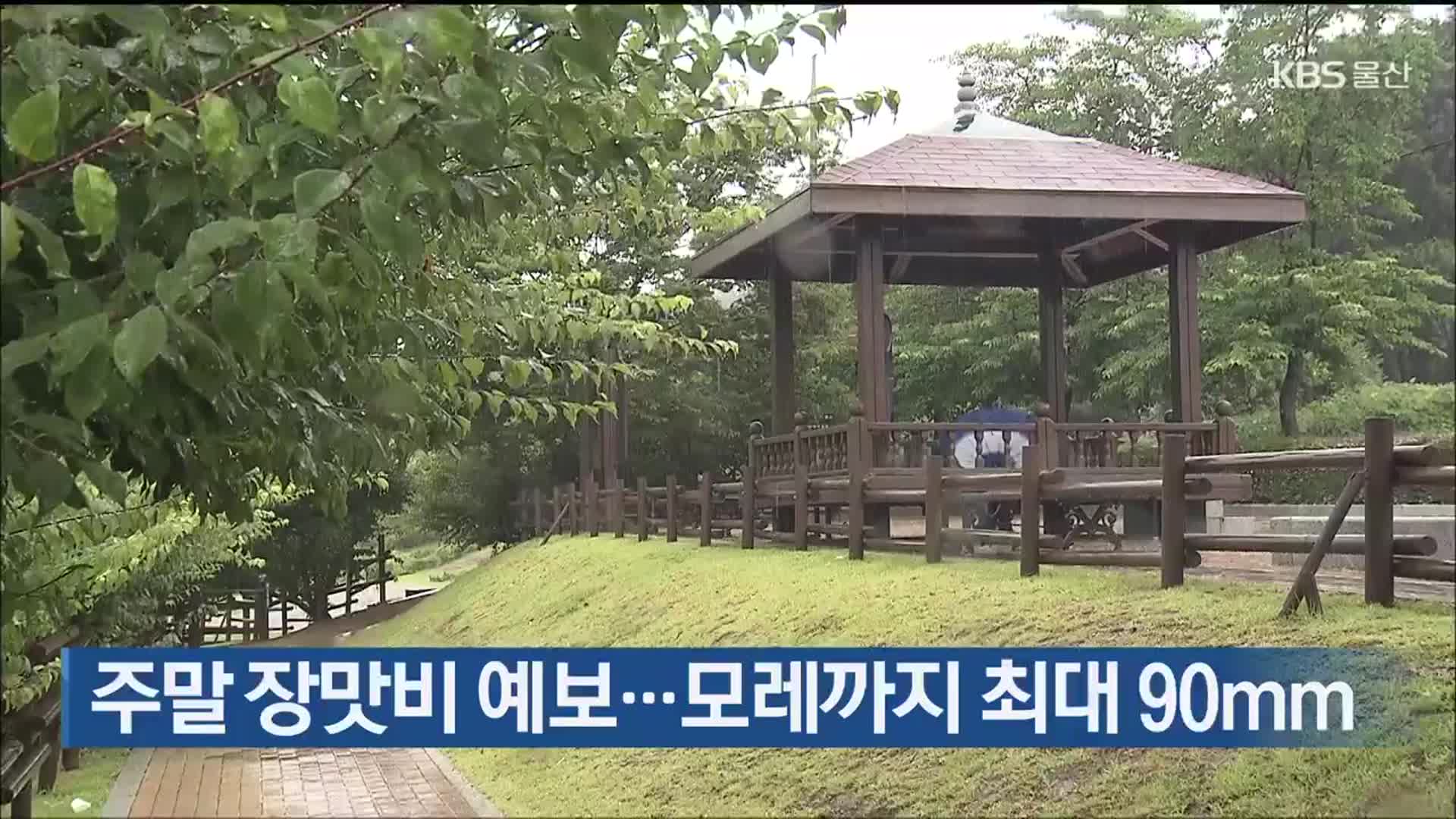 울산 주말 장맛비 예보…모레까지 최대 90mm