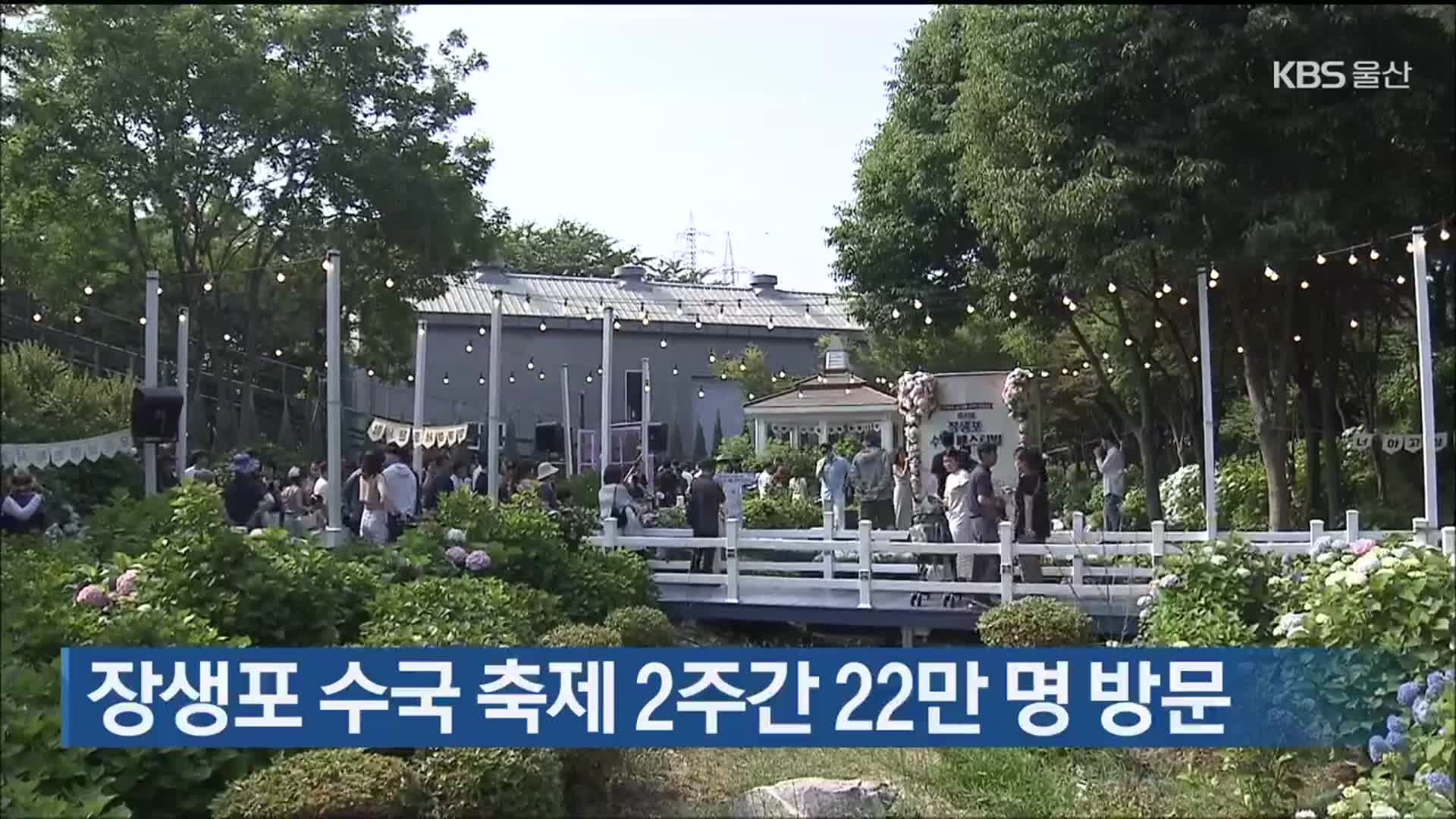장생포 수국 축제 2주간 22만 명 방문