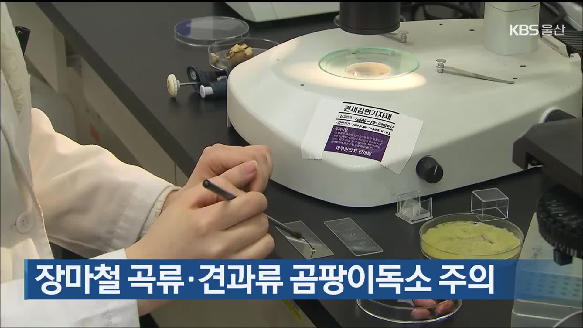 장마철 곡류·견과류 곰팡이독소 주의