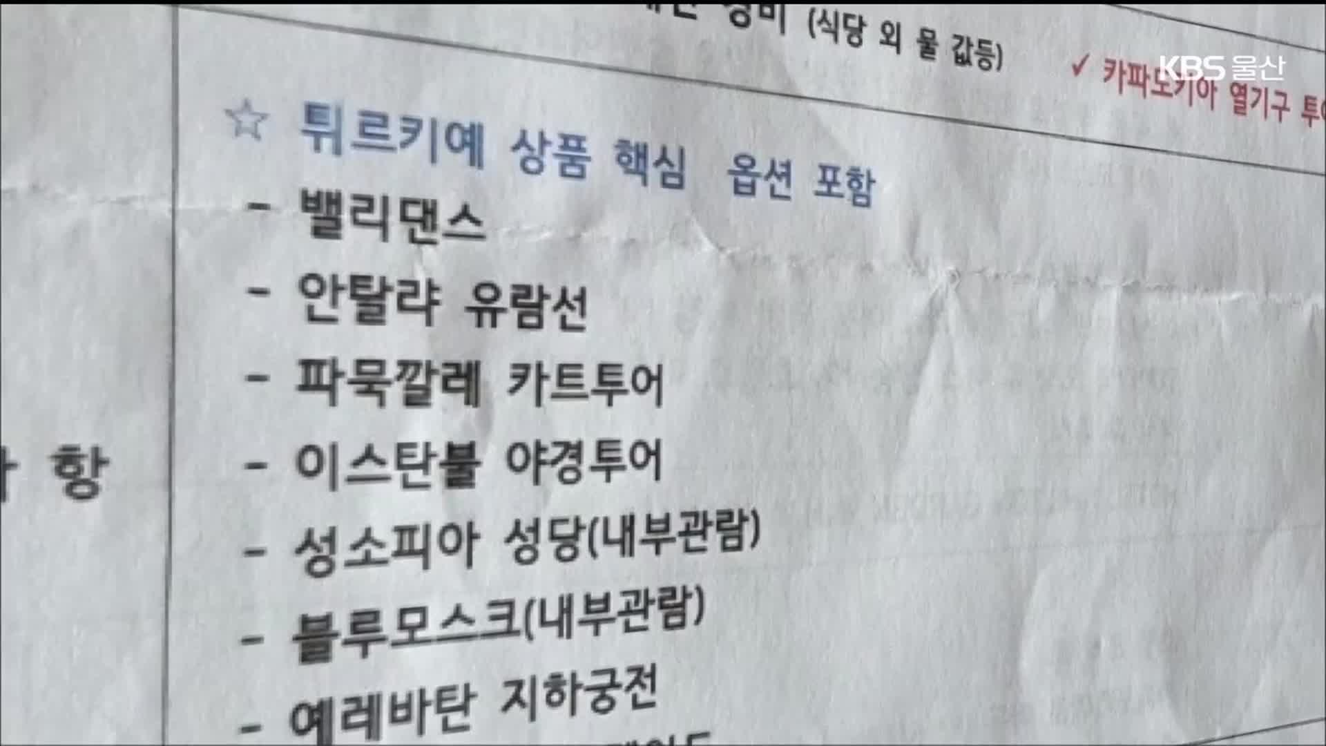 [단독] 해외 안보시찰 가서 춤 관람?…출국 전 취소