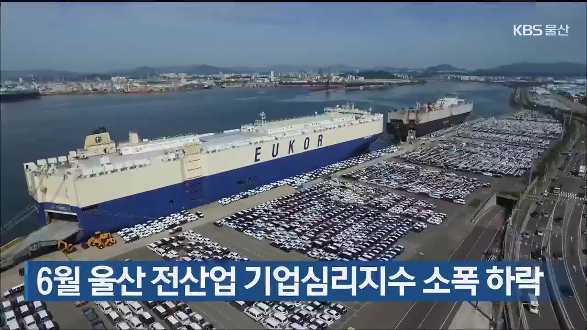 6월 울산 전산업 기업심리지수 소폭 하락