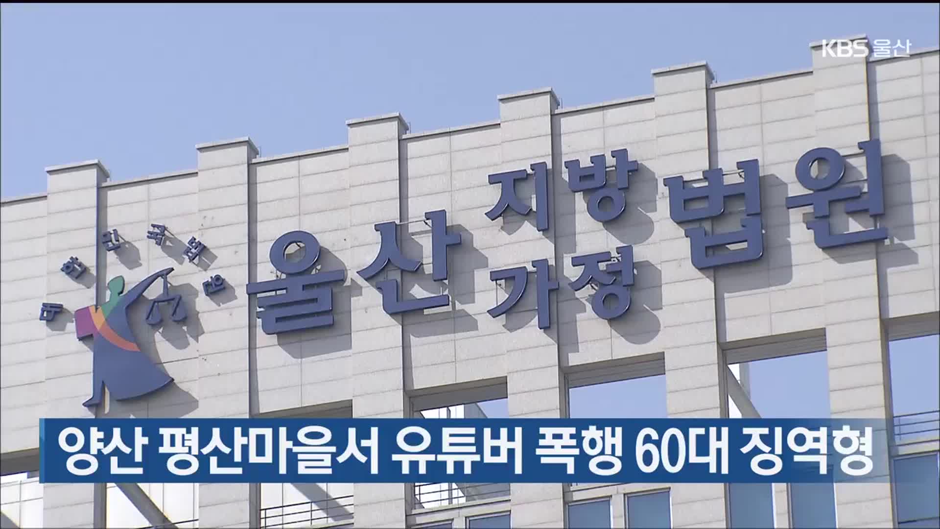 양산 평산마을서 유튜버 폭행 60대 징역형