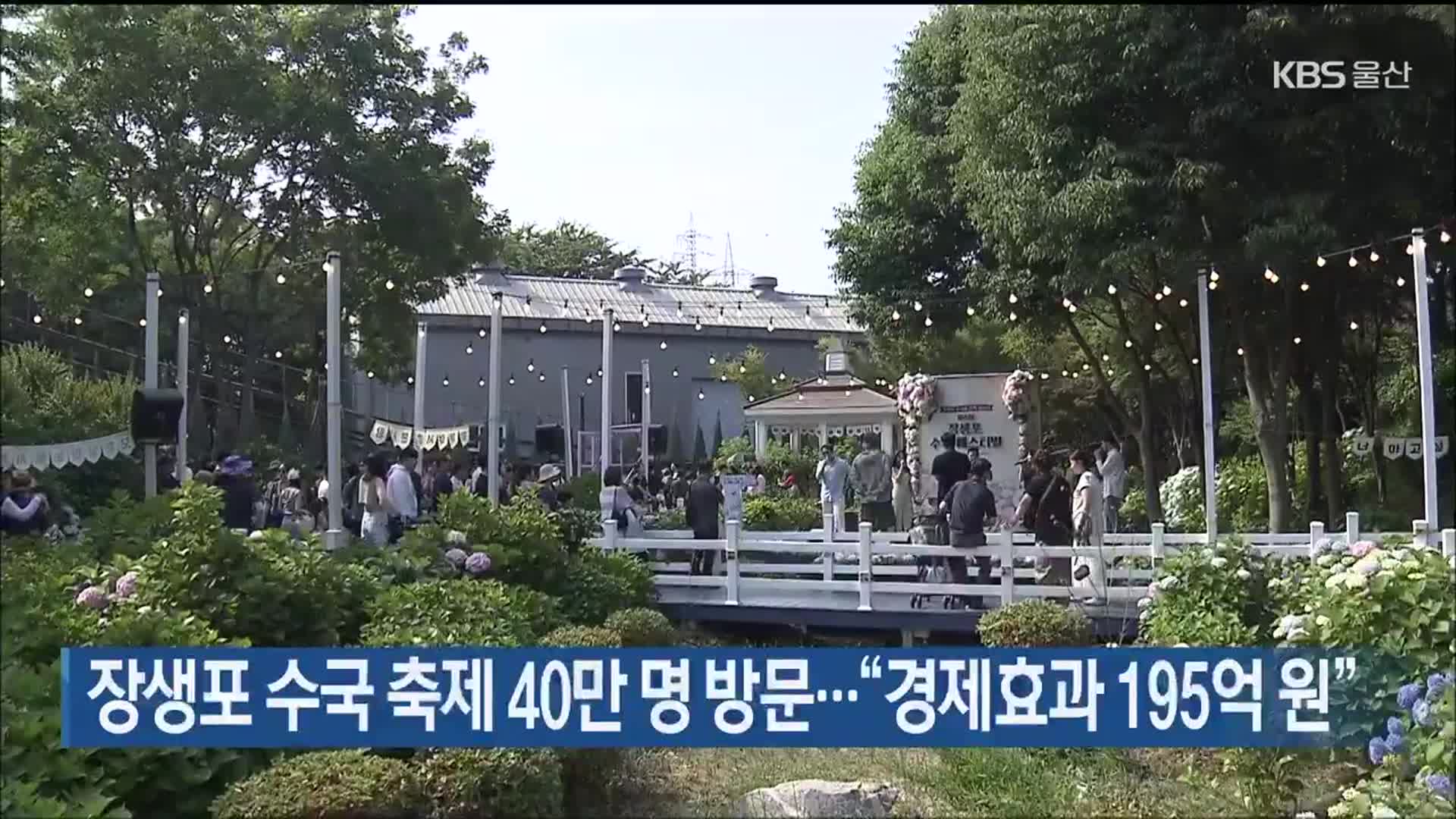 장생포 수국 축제 40만 명 방문…“경제효과 195억 원”