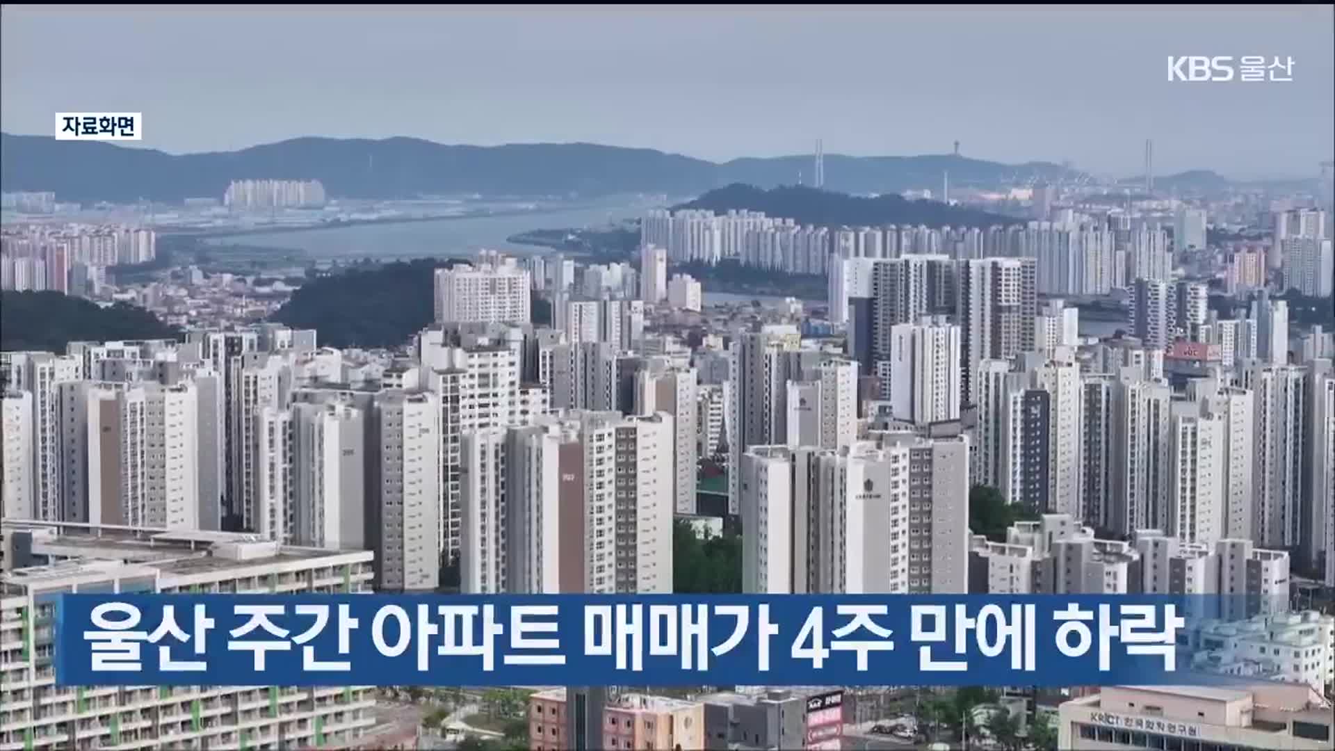 울산 주간 아파트 매매가 4주 만에 하락