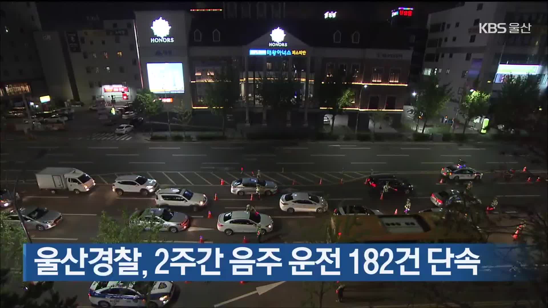울산경찰, 2주간 음주 운전 182건 단속