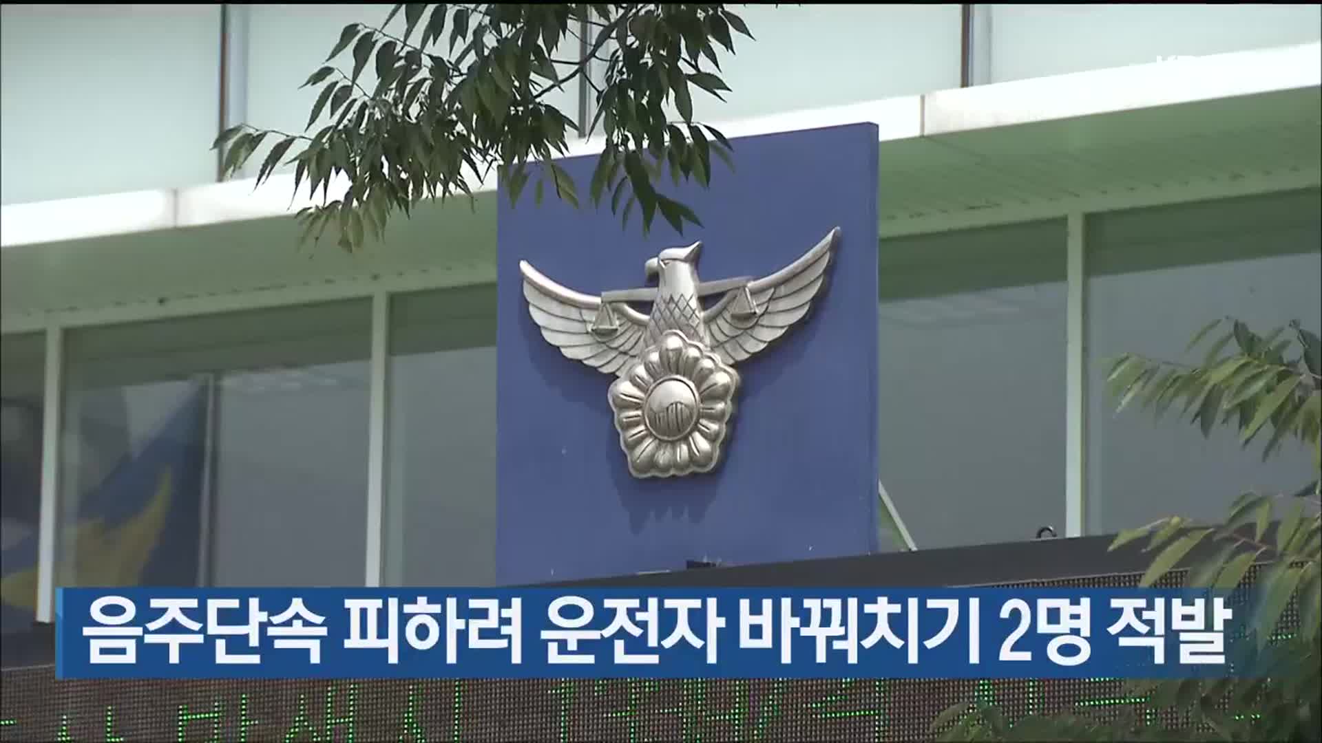 음주단속 피하려 운전자 바꿔치기 2명 적발