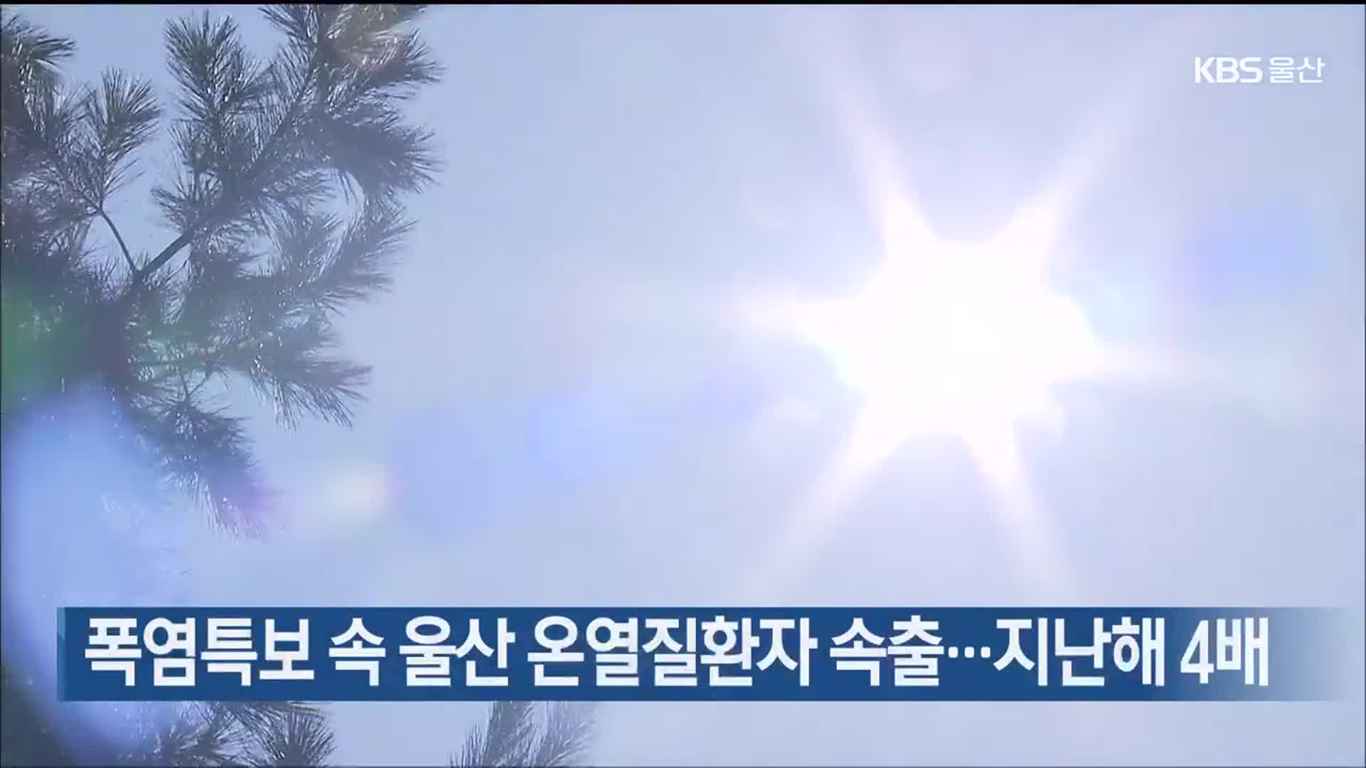 폭염특보 속 울산 온열질환자 속출…지난해 4배