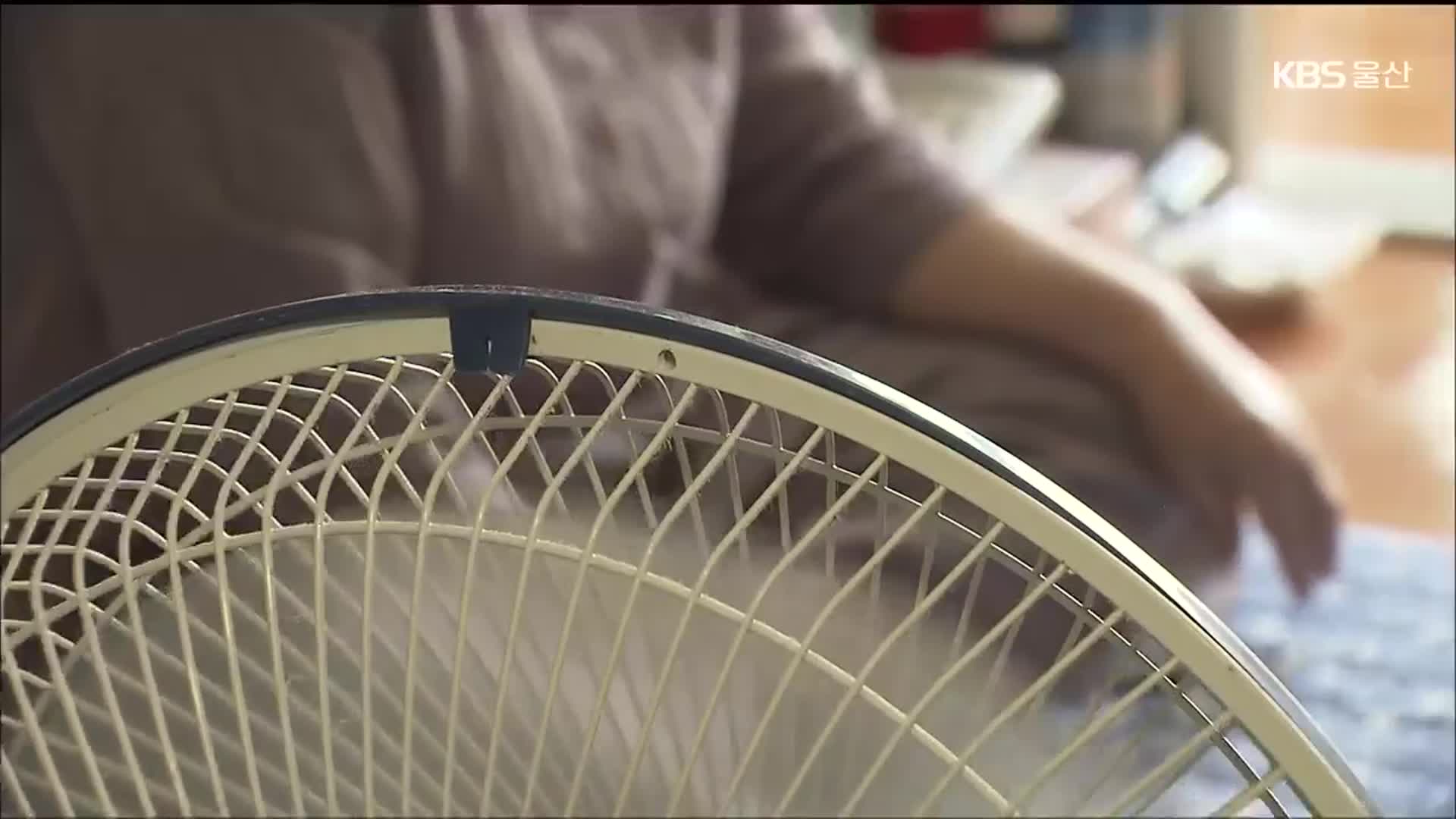 온열질환에 취약한 노령층…“야간이 더 위험”