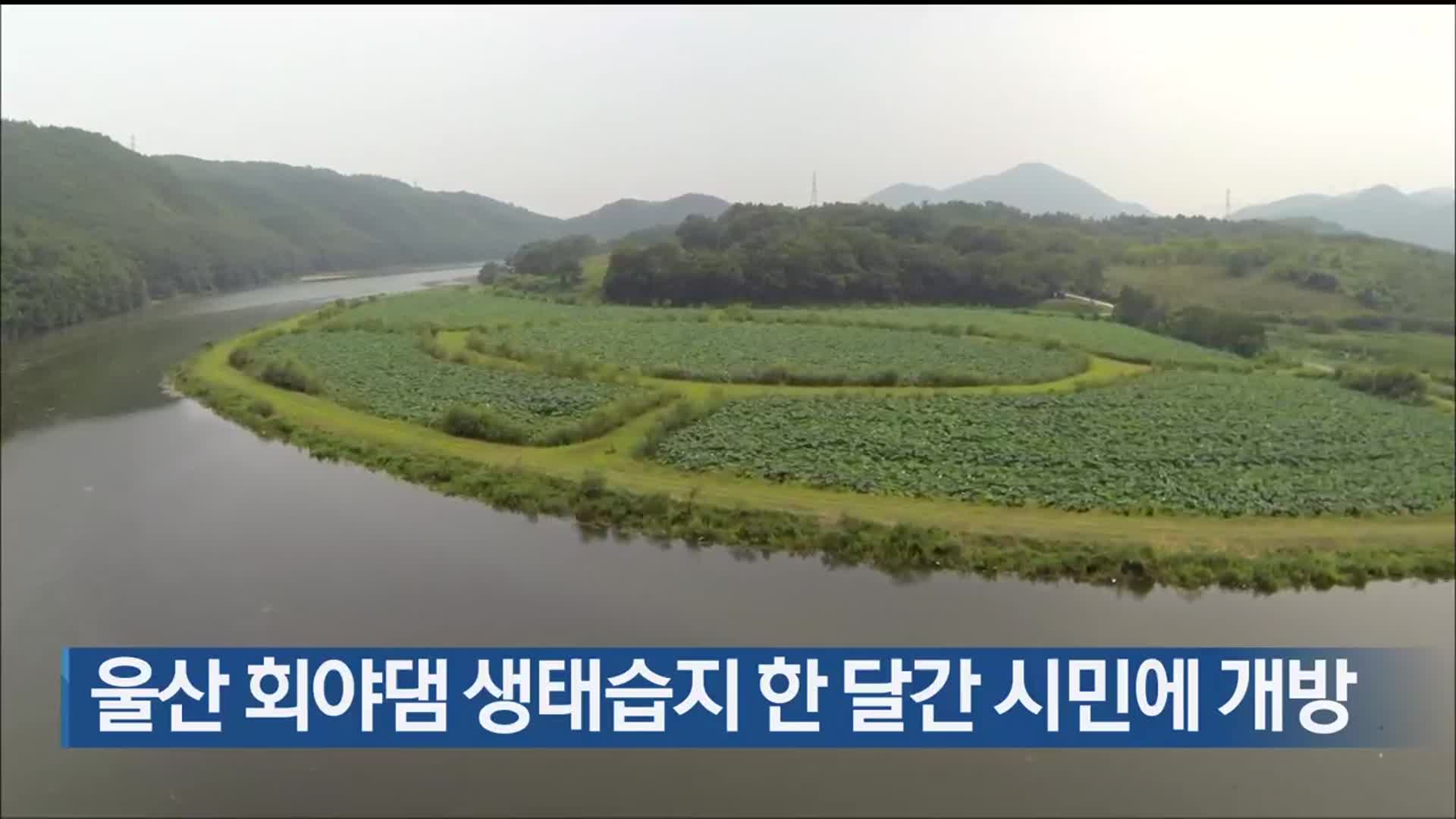 울산 회야댐 생태습지 한 달간 시민에 개방