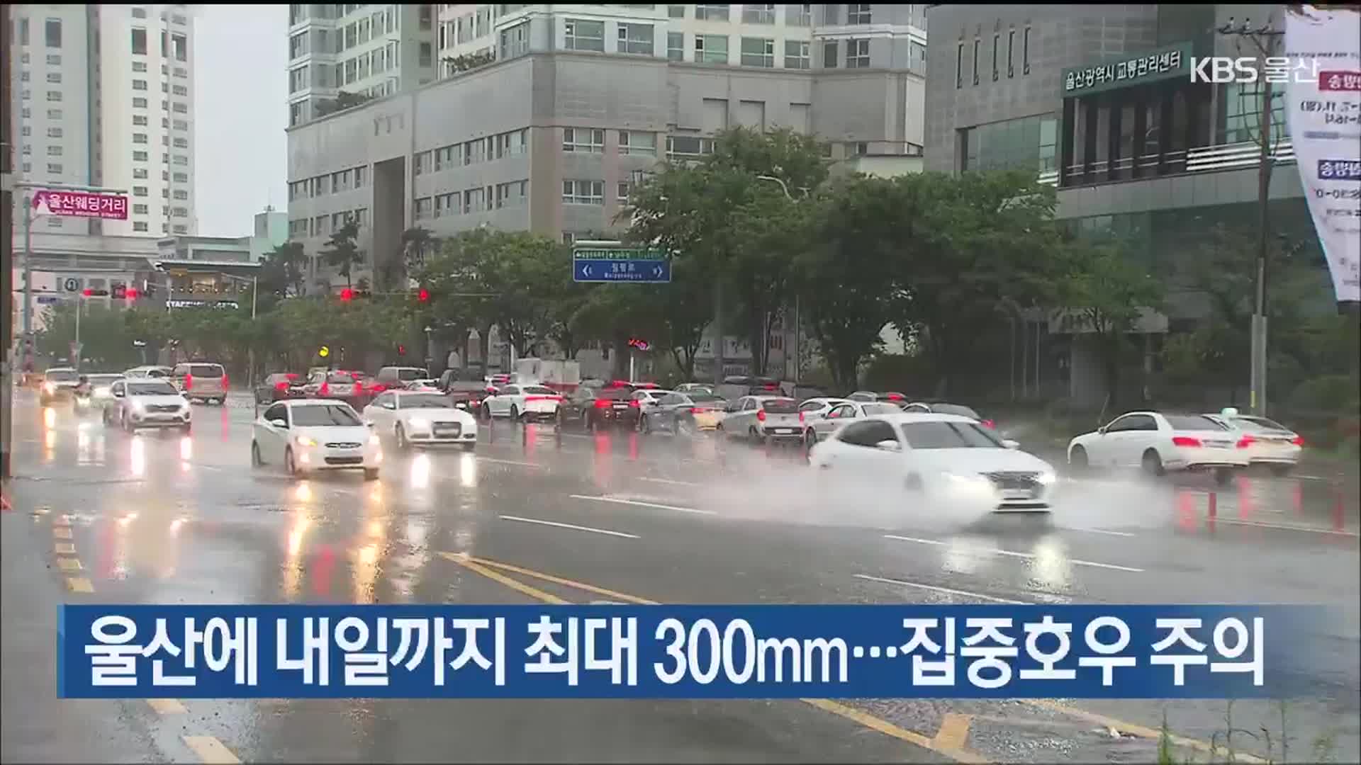울산에 내일까지 최대 300mm…집중호우 주의
