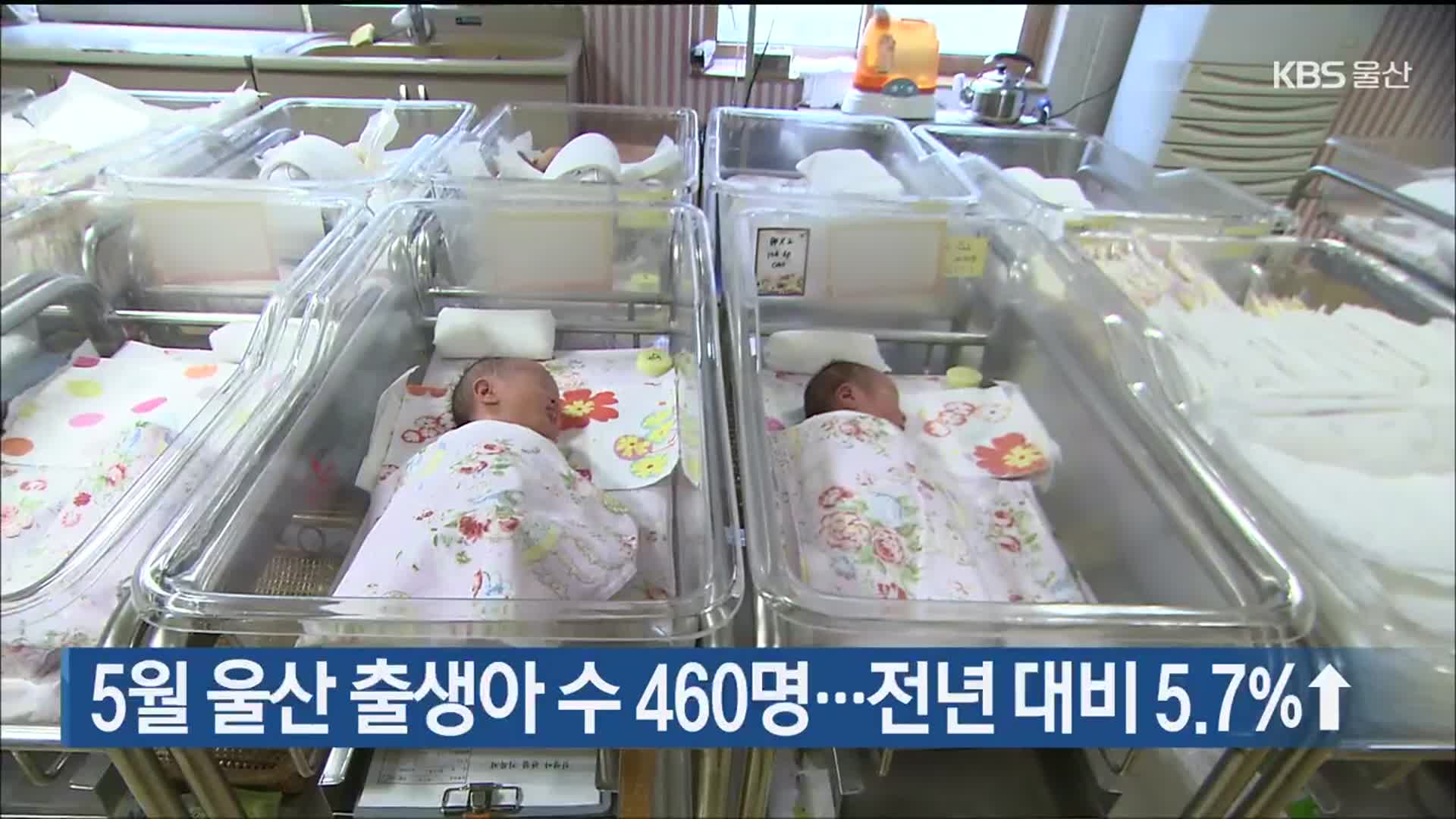 5월 울산 출생아 수 460명…전년 대비 5.7%↑