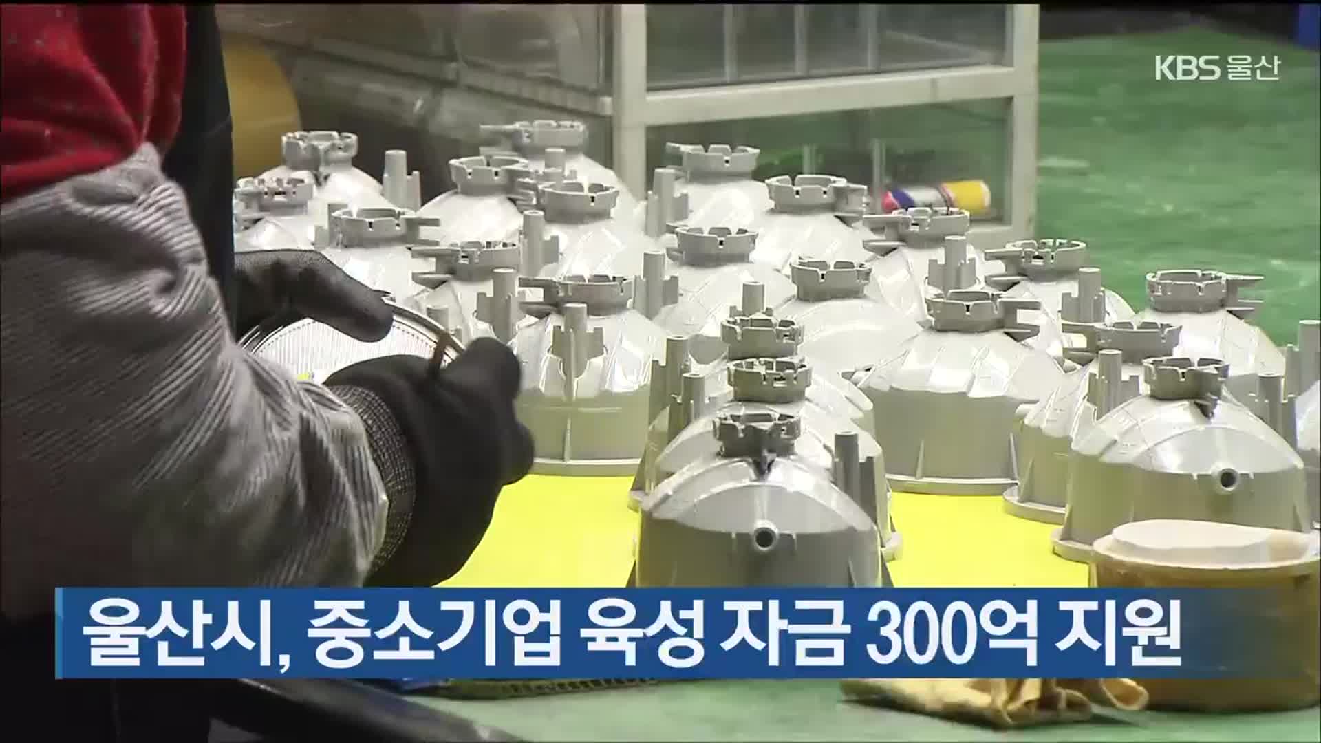 울산시, 중소기업 육성 자금 300억 지원