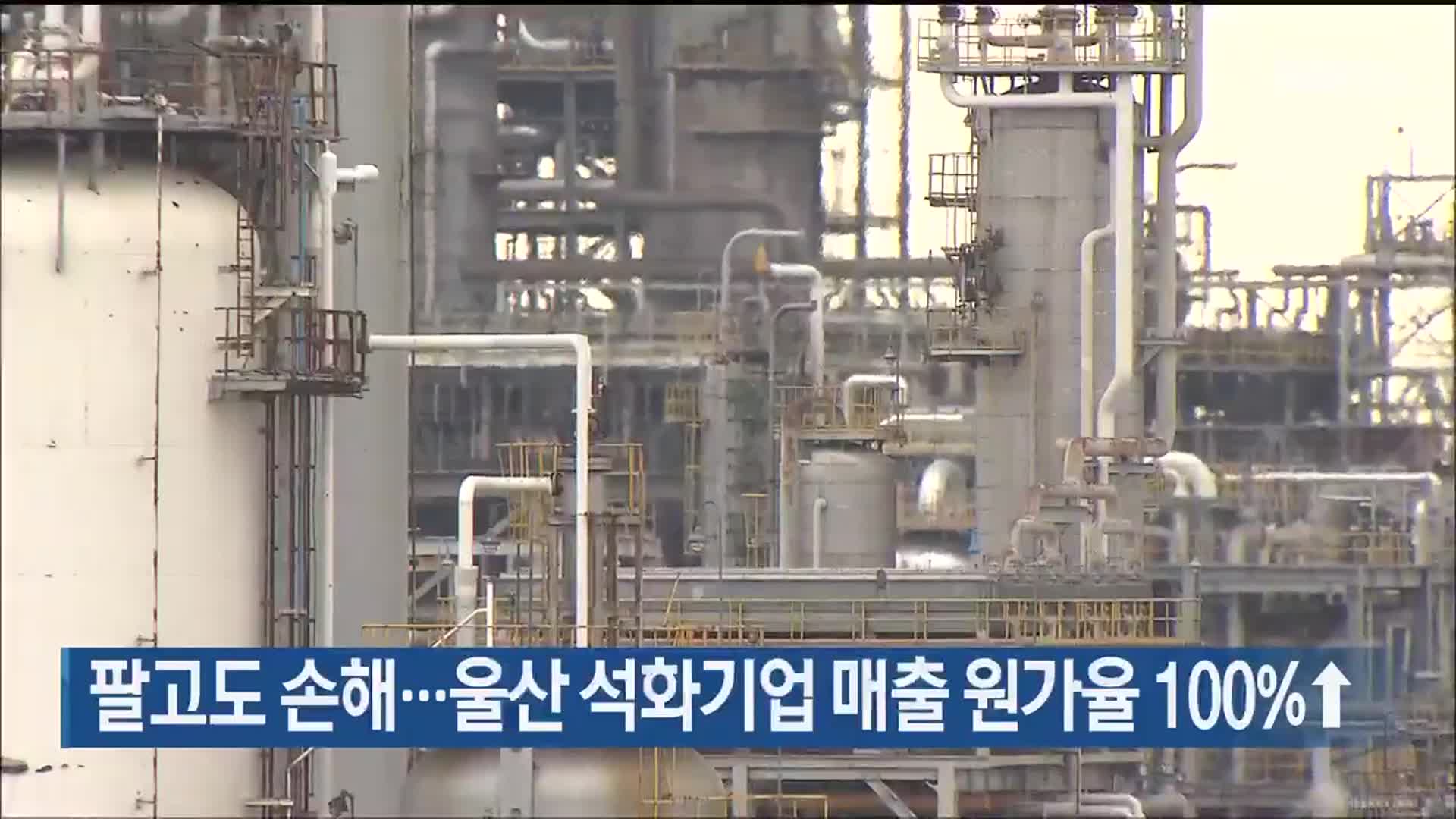 팔고도 손해…울산 석화기업 매출 원가율 100%↑