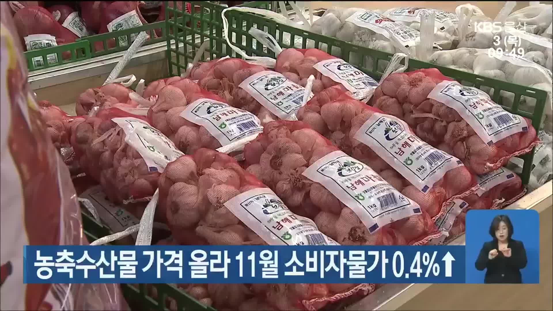 농축수산물 가격 올라 11월 소비자물가 0.4%↑