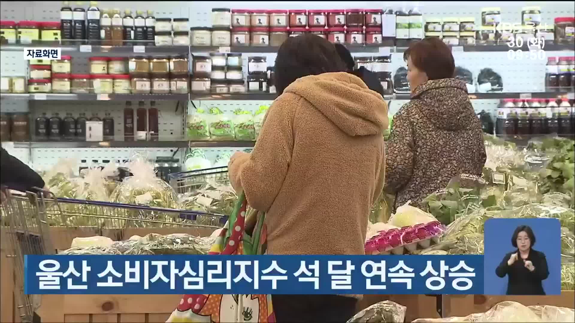 울산 소비자심리지수 석 달 연속 상승