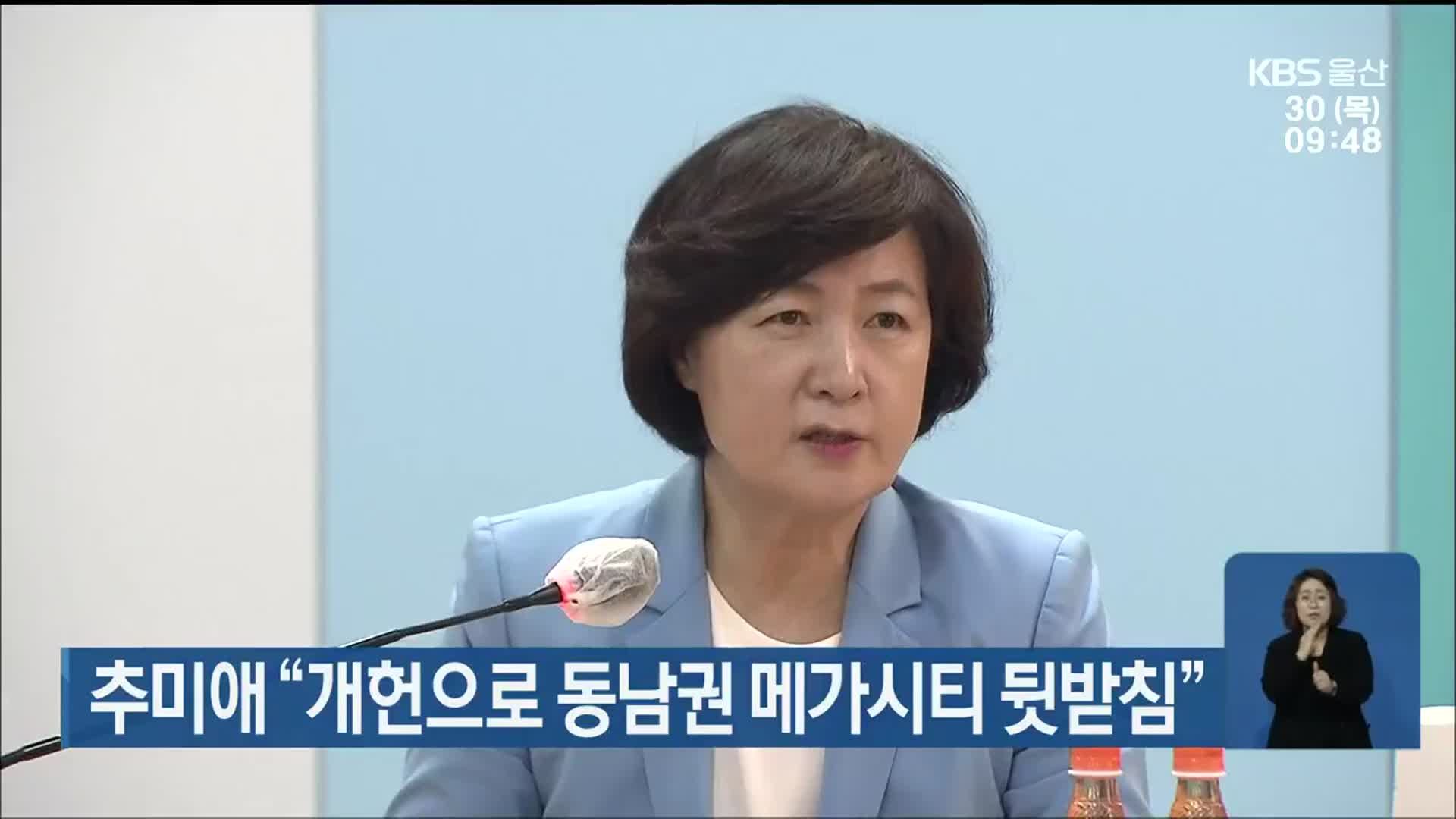 추미애, “개헌으로 동남권 메가시티 뒷받침”