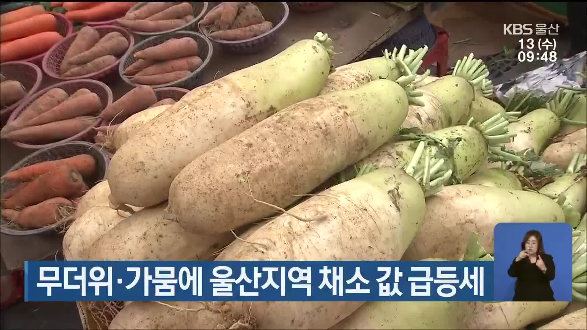 무더위·가뭄에 울산지역 채소 값 급등세