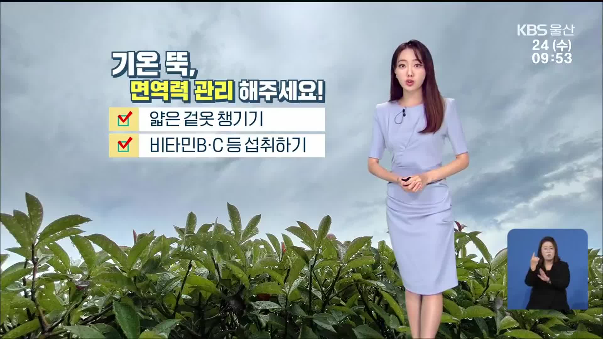 [날씨] 울산 낮까지 5mm 안팎 비…한낮 23도 ‘더위 주춤’