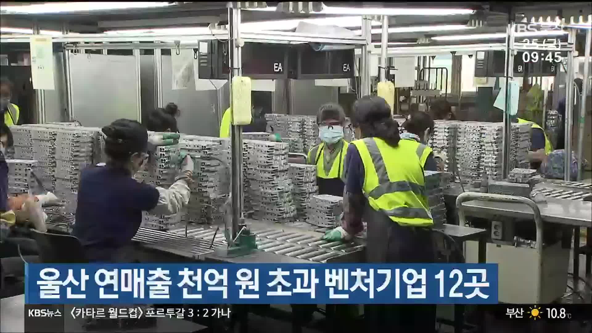울산 연매출 천억 원 초과 벤처기업 12곳
