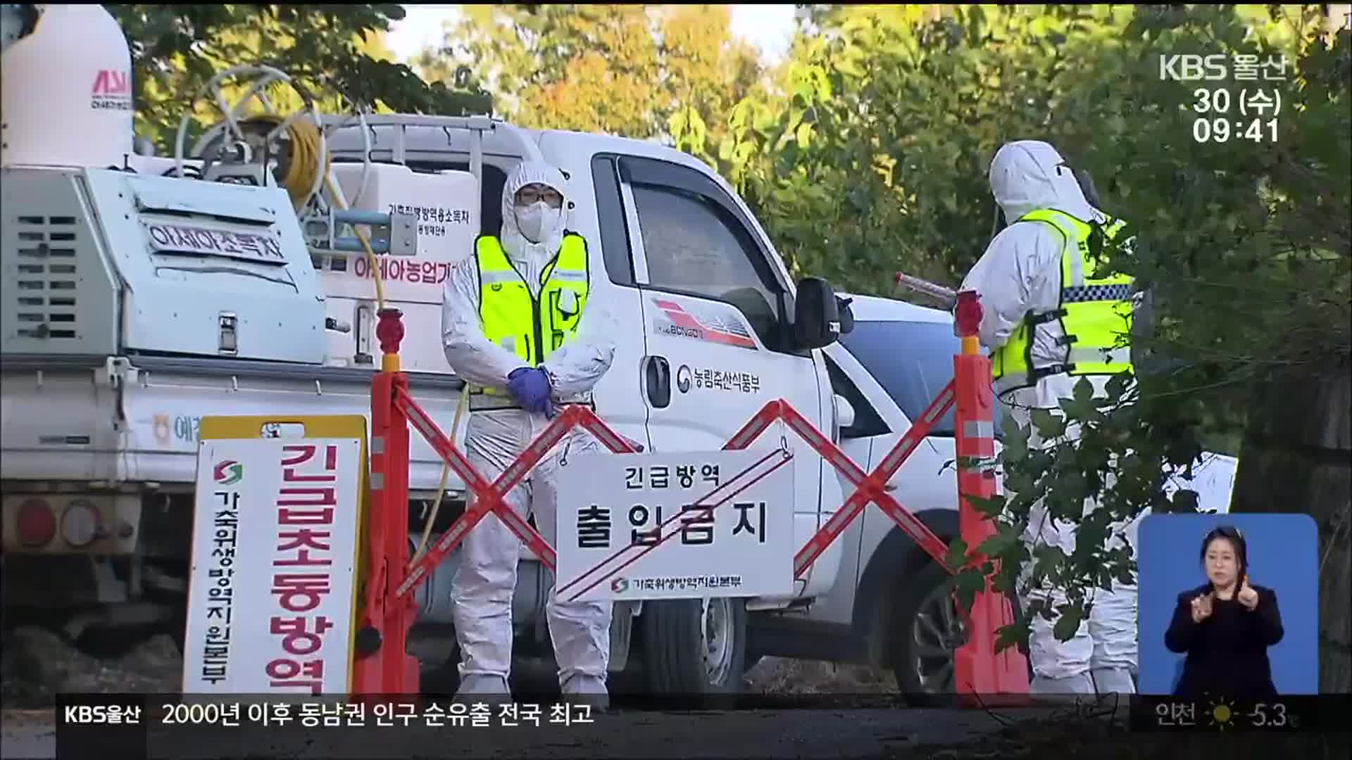 울산 5년 만에 농장에서 AI 발생…가금농가 비상