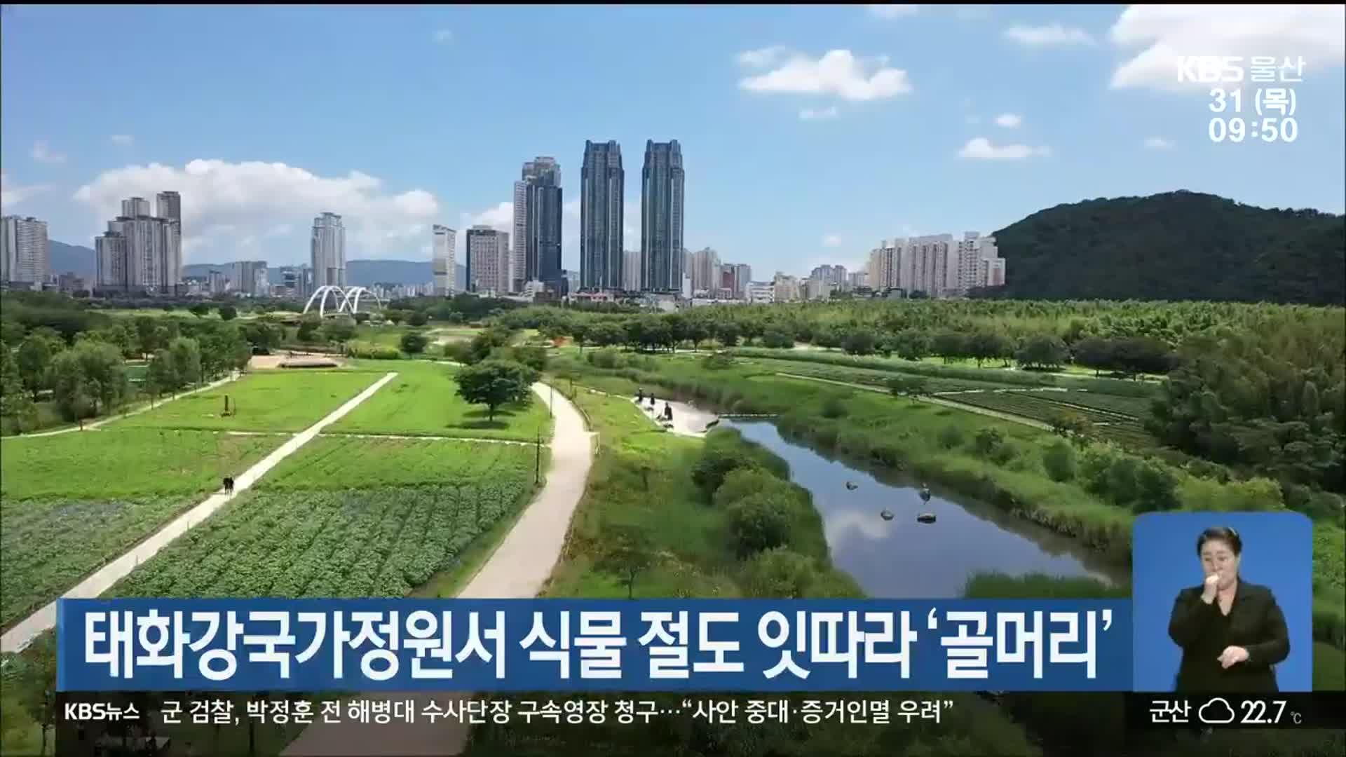 태화강국가정원서 식물 절도 잇따라 ‘골머리’