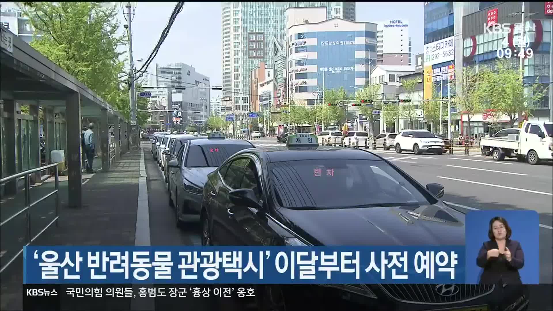 ‘울산 반려동물 관광택시’ 이달부터 사전 예약