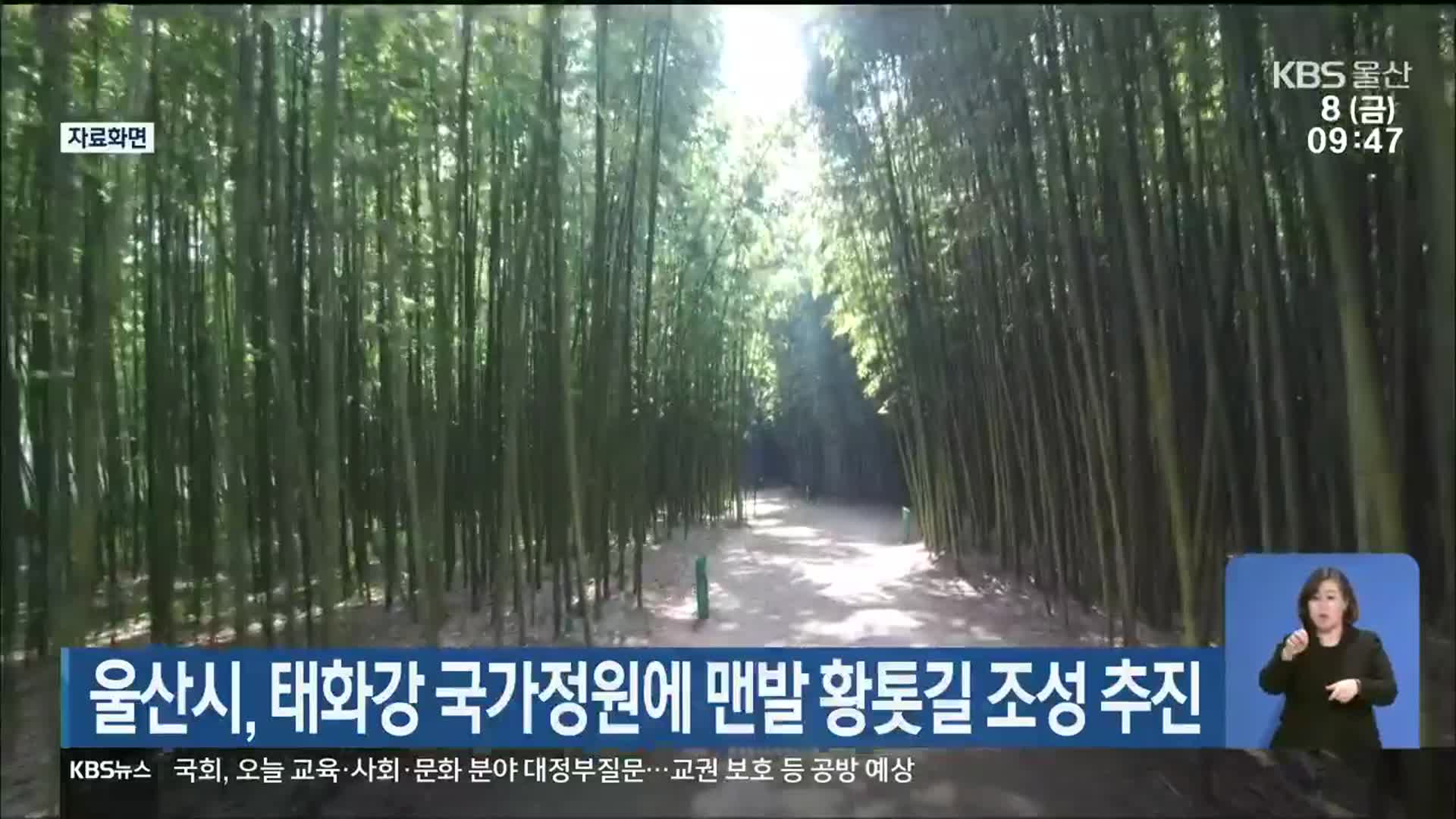 울산시, 태화강국가정원에 맨발 황톳길 조성 추진