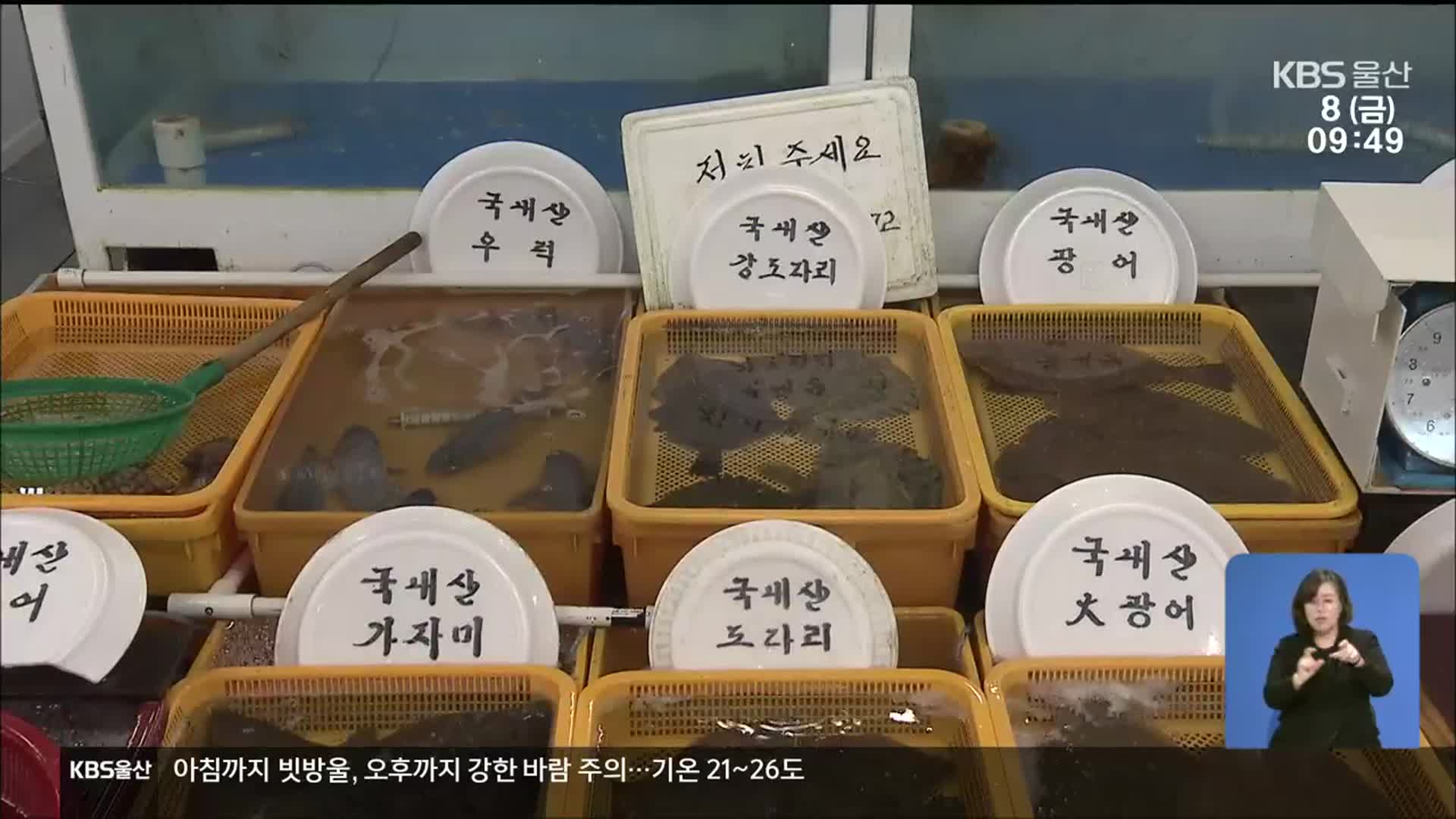 수산물 원산지 점검 강화…불안 해소될까?