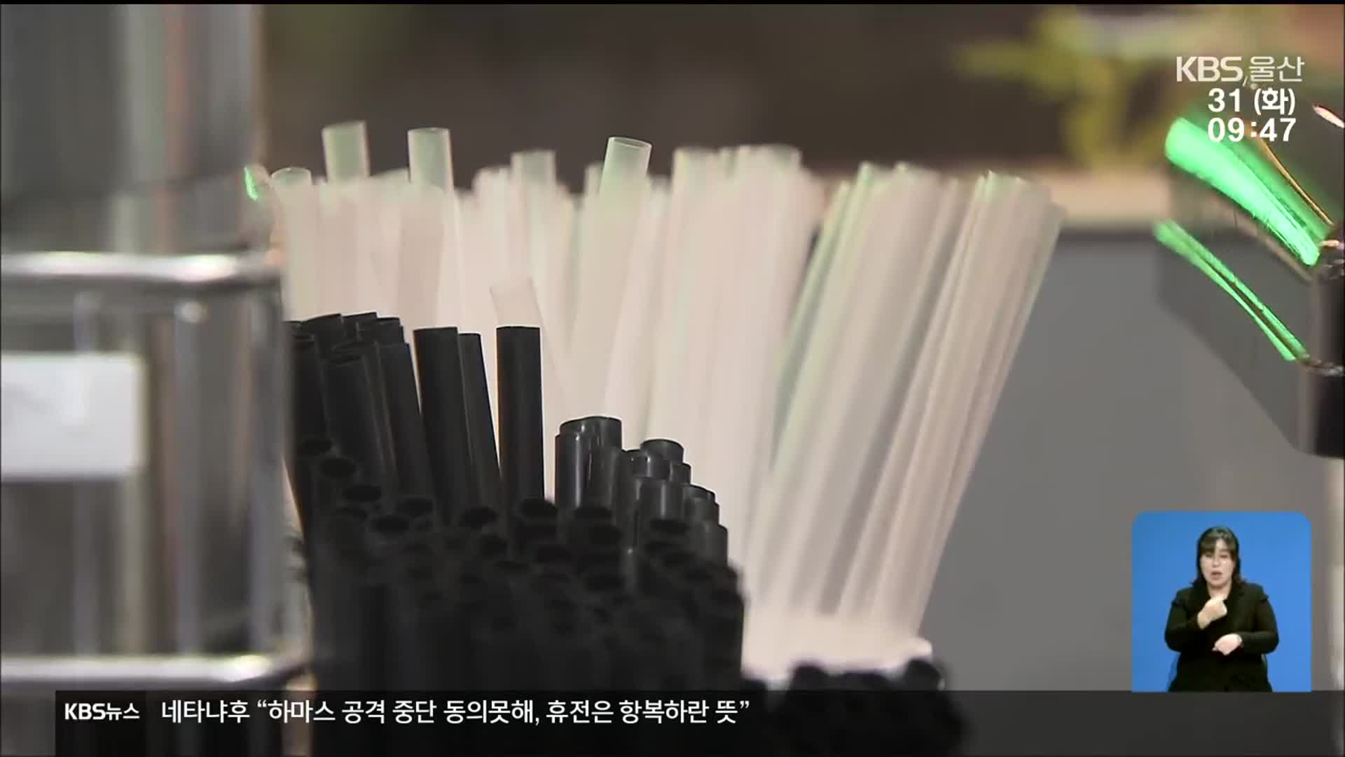 카페 등 일회용품 사용 금지 강화…“홍보 부족”
