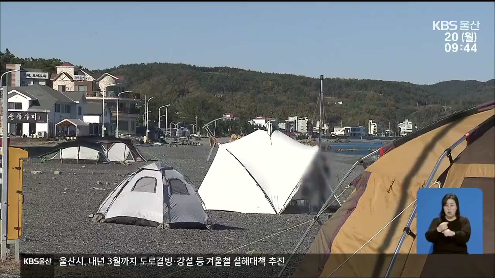 단속 느슨해지자 다시 등장한 ‘알박기 텐트’