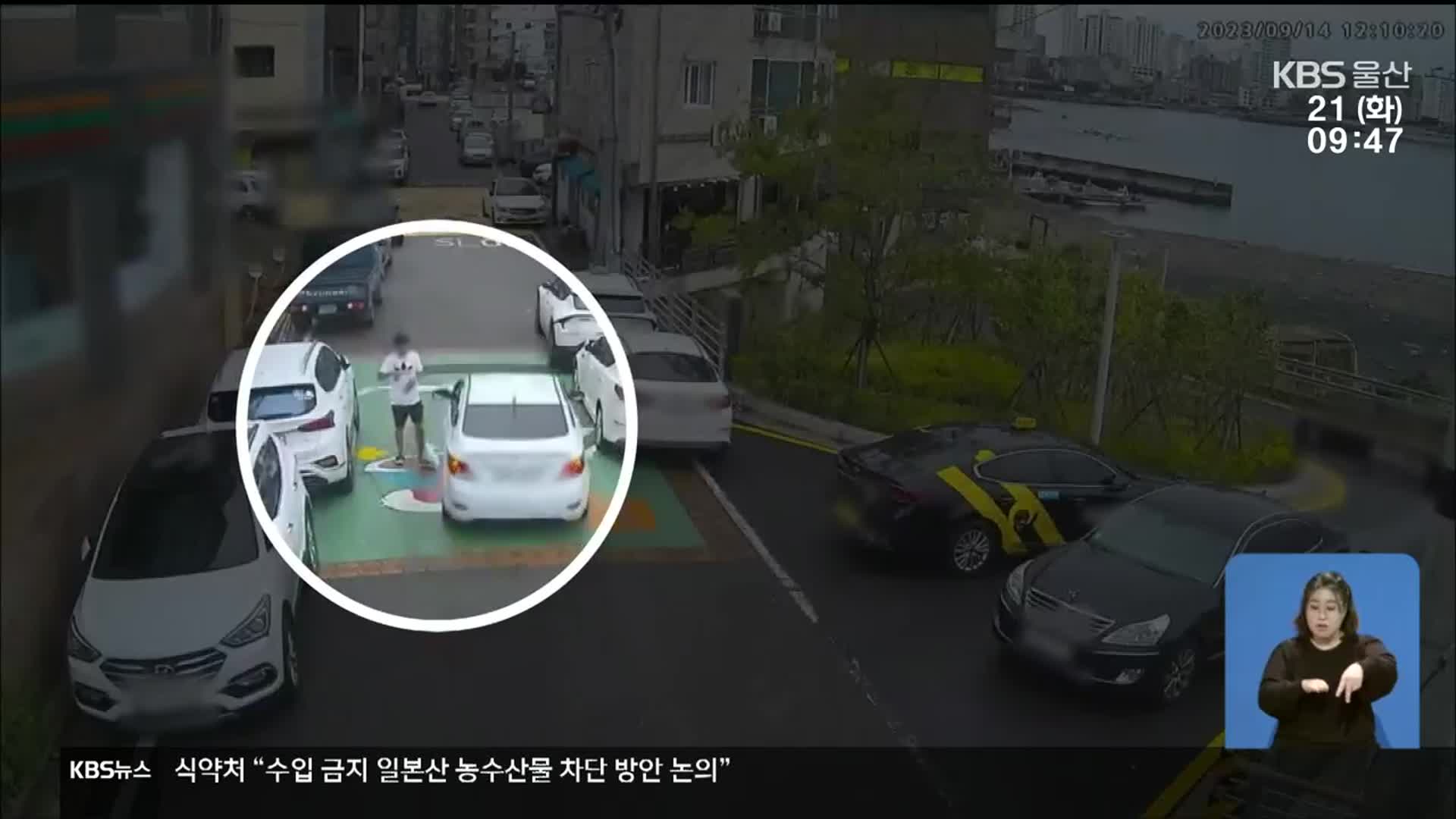 법규 위반차량 노려 ‘쿵’…보험설계사까지