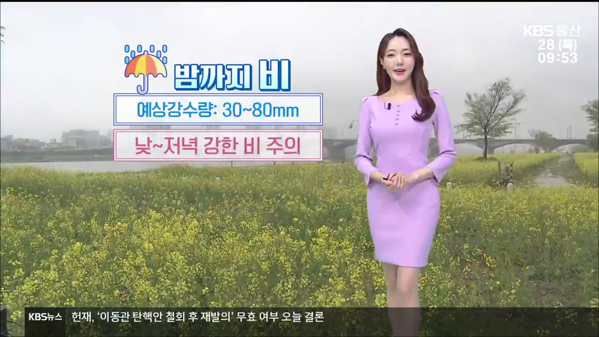 [날씨] 울산 밤까지 비, 예상강수량: 30~80mm…강풍주의