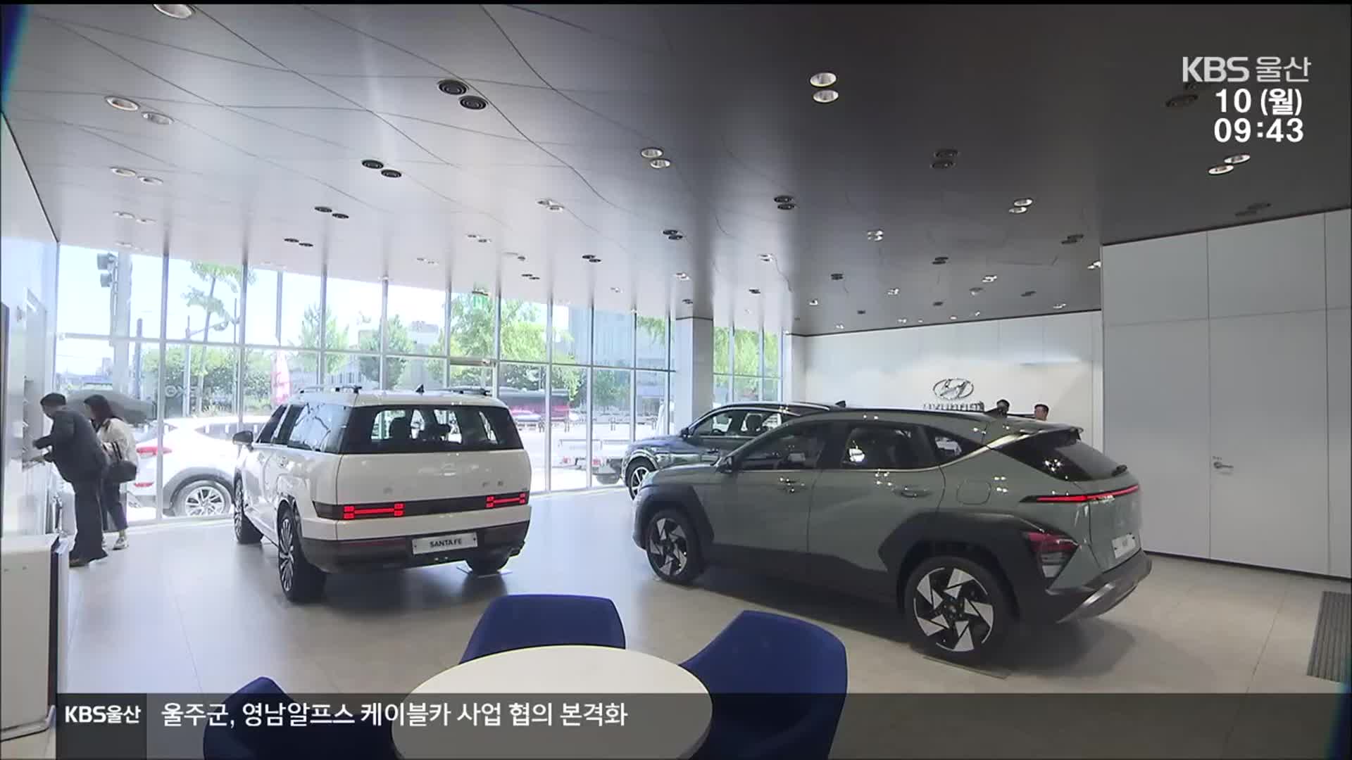 늘어나는 SUV…사회적 비용은 어떻게?