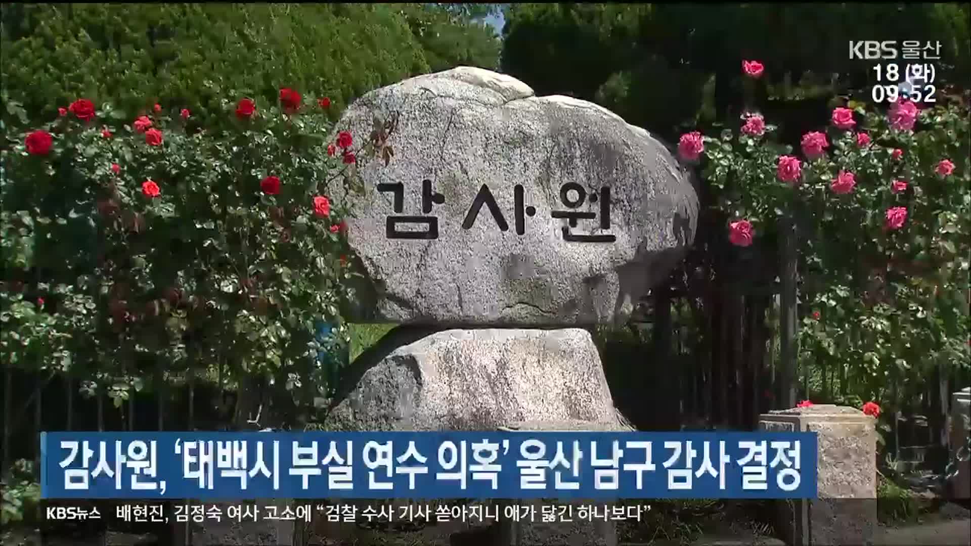 감사원, ‘태백시 부실 연수 의혹’ 울산 남구 감사 결정