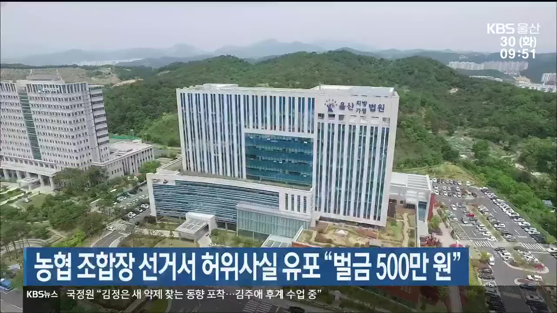 농협 조합장 선거서 허위사실 유포 “벌금 500만 원”