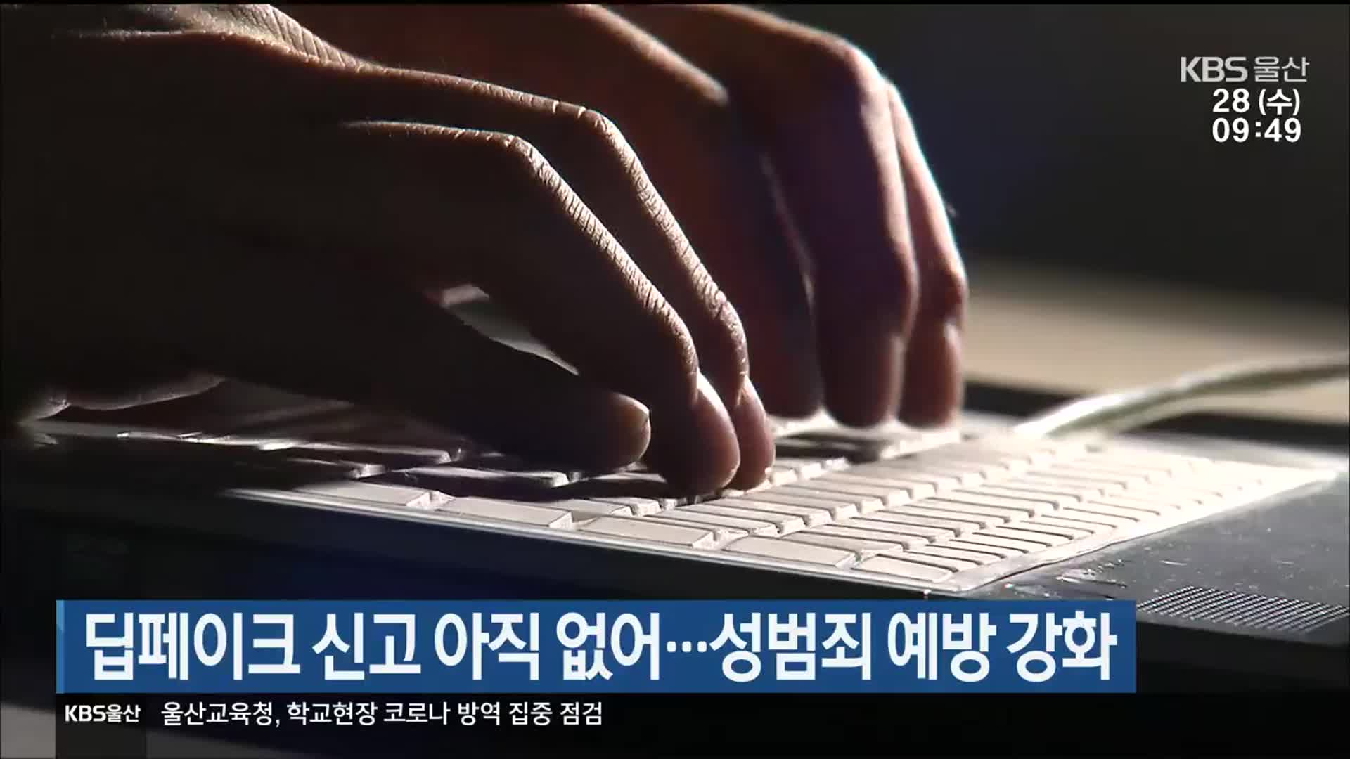 딥페이크 신고 아직 없어…성범죄 예방 강화