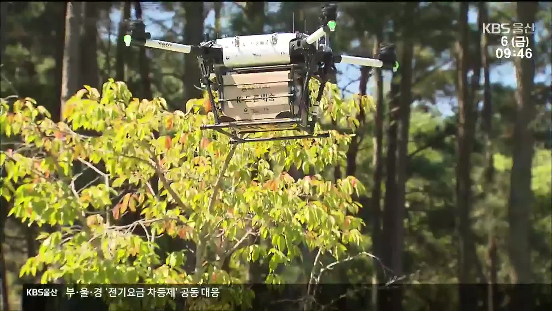 ‘산 넘어 짜장면 배달’…안전하고 빠른 드론 배송