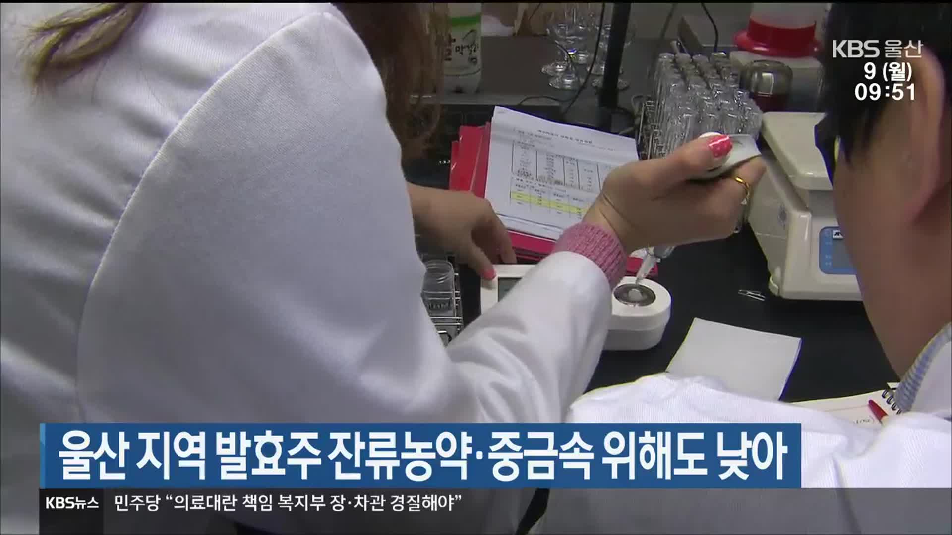 울산 지역 발효주 잔류농약·중금속 위해도 낮아