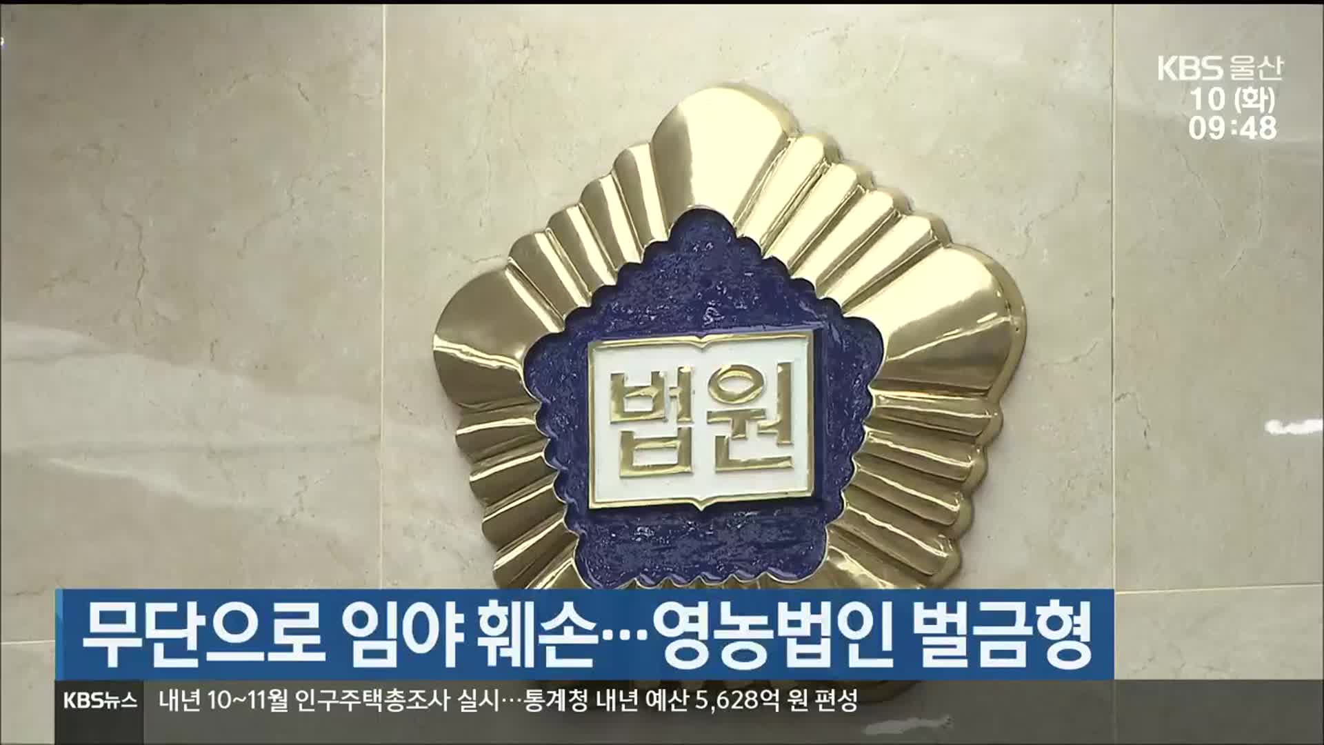 무단으로 임야 훼손…영농법인 벌금형