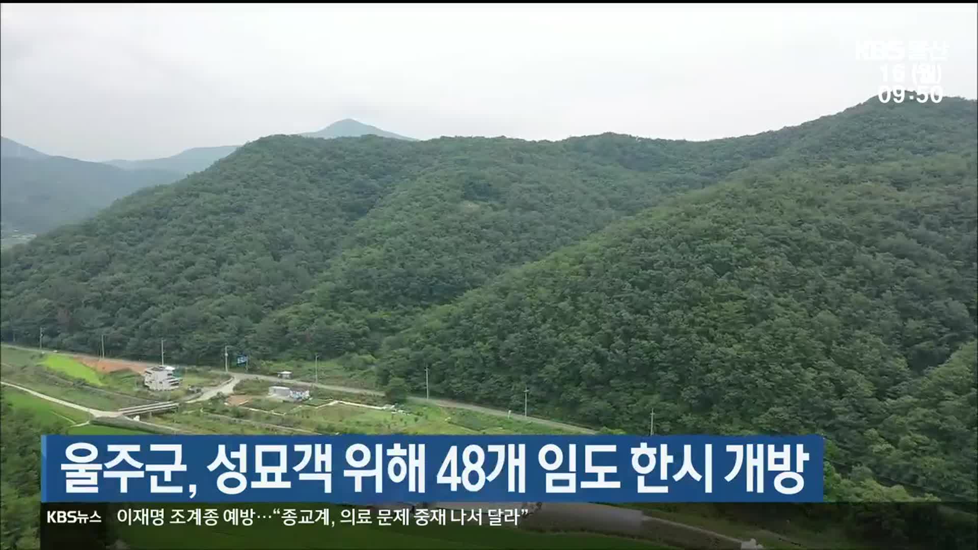울주군, 성묘객 위해 48개 임도 한시 개방