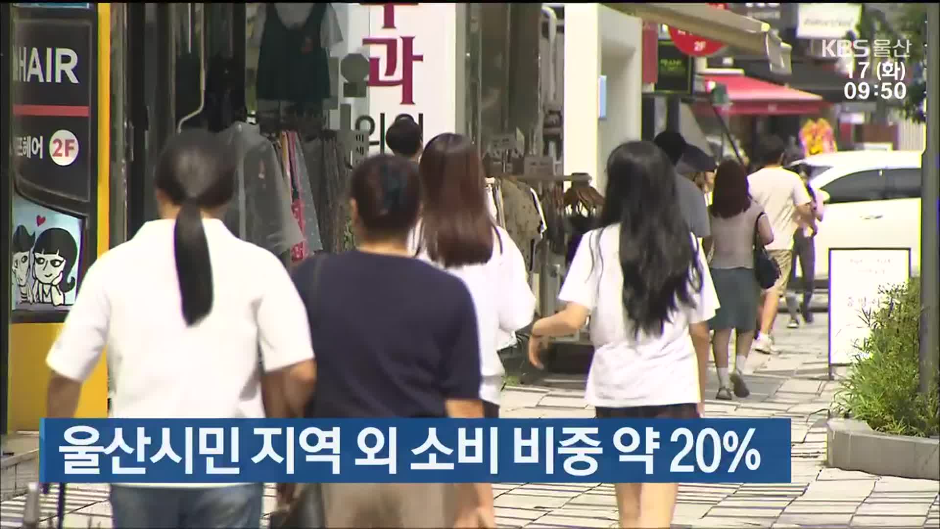 울산시민 지역 외 소비 비중 약 20%