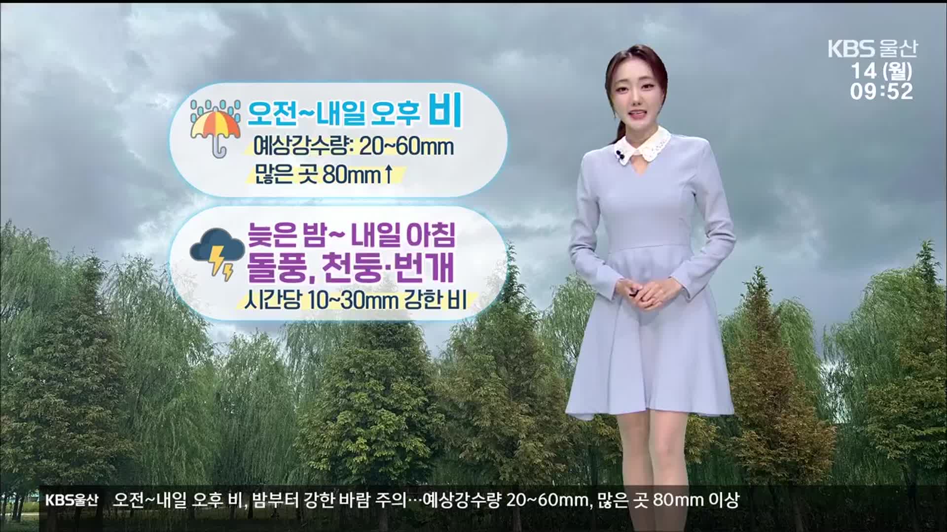 [날씨] 울산 늦은 밤~내일 오후 최대 80mm 비…돌풍·천둥·번개 주의