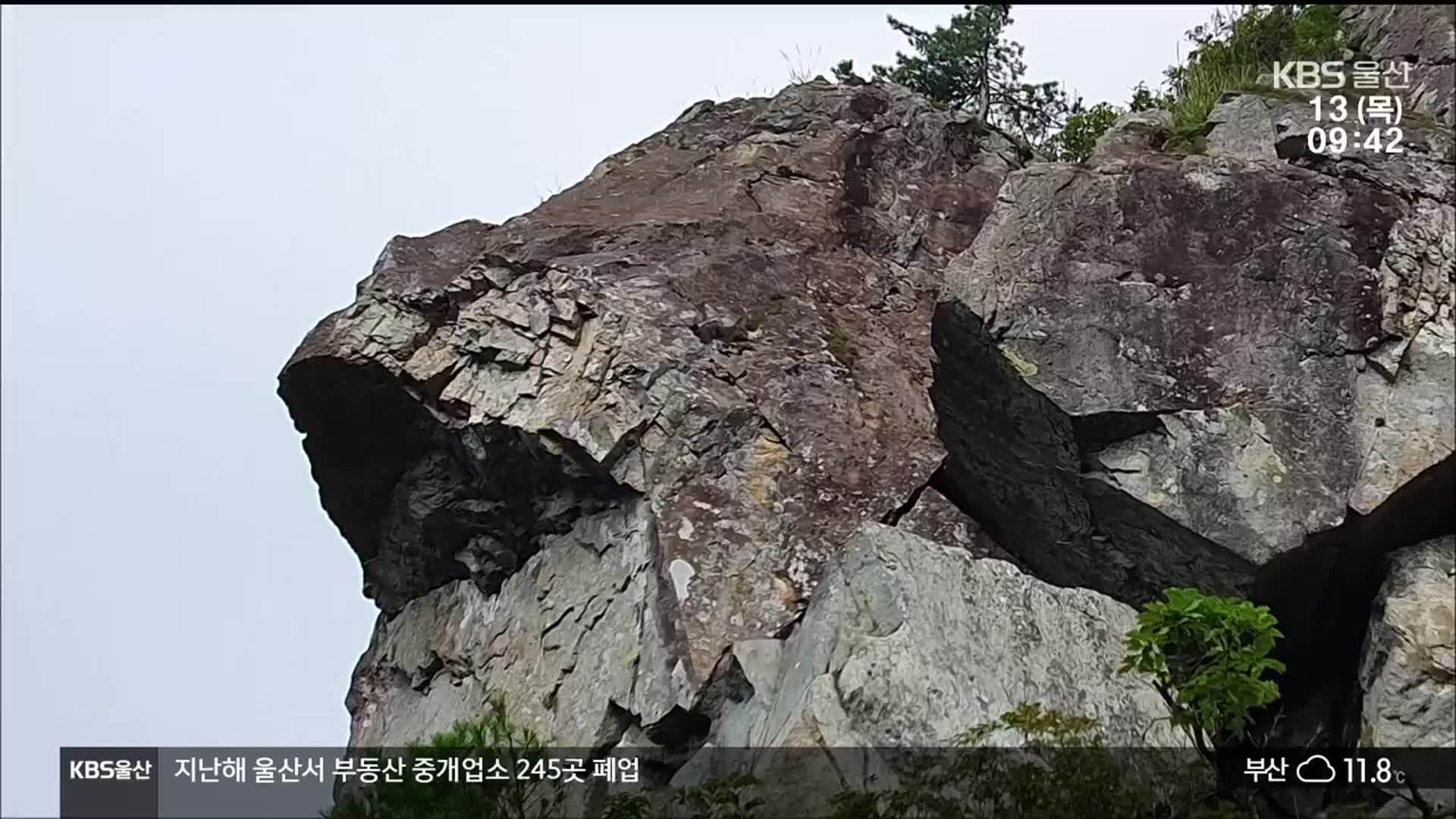 “케이블카 환경영향평가 부실”…“보완할 것”