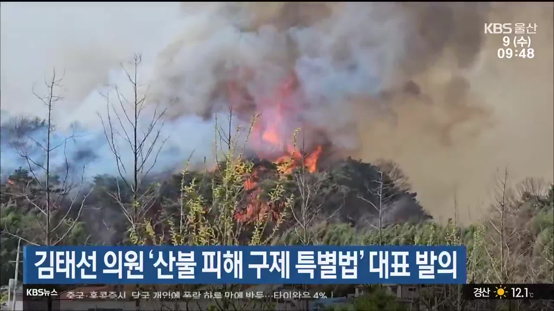 김태선 의원 ‘산불 피해 구제 특별법’ 대표 발의