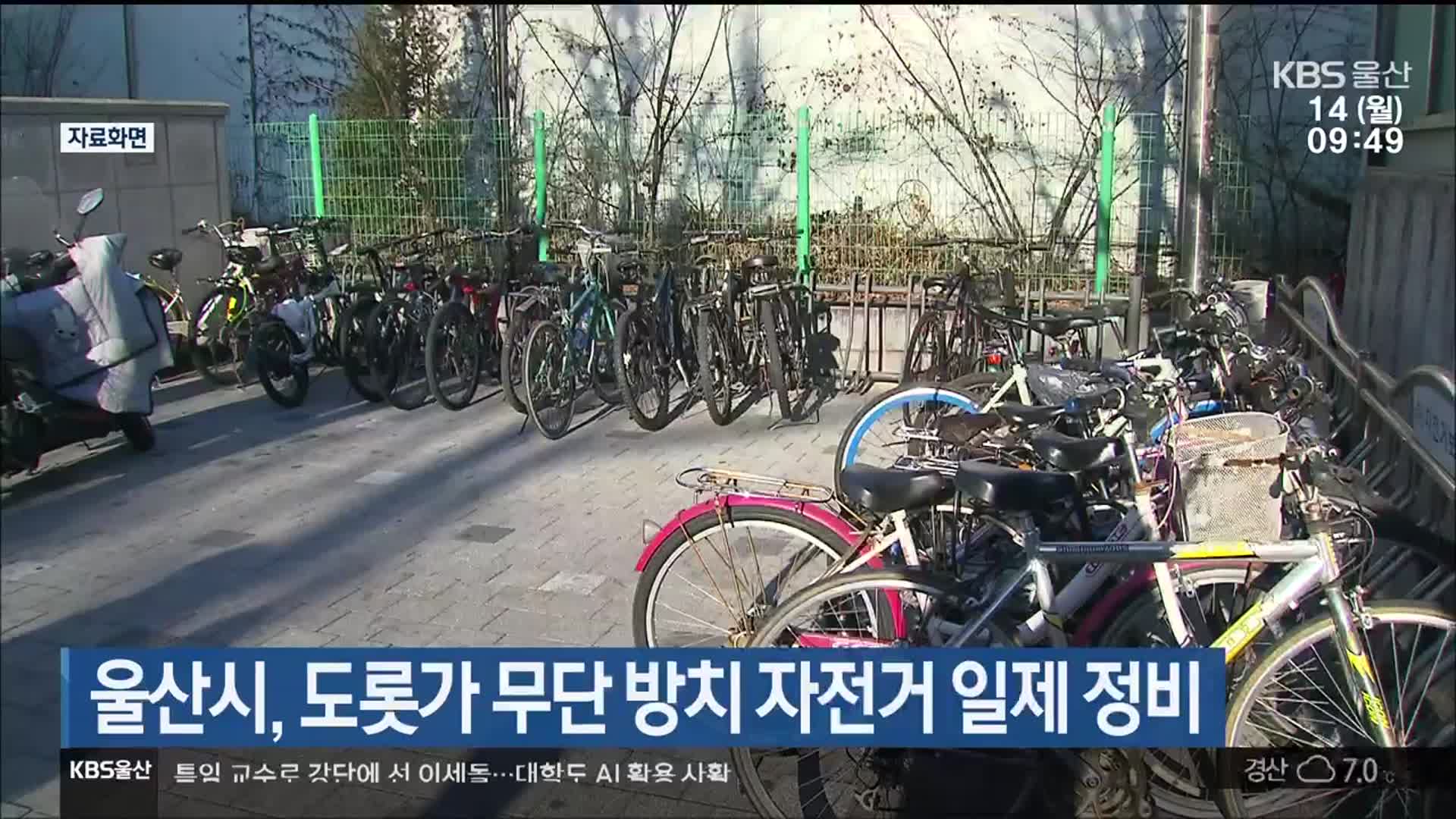 울산시, 도롯가 무단 방치 자전거 일제 정비