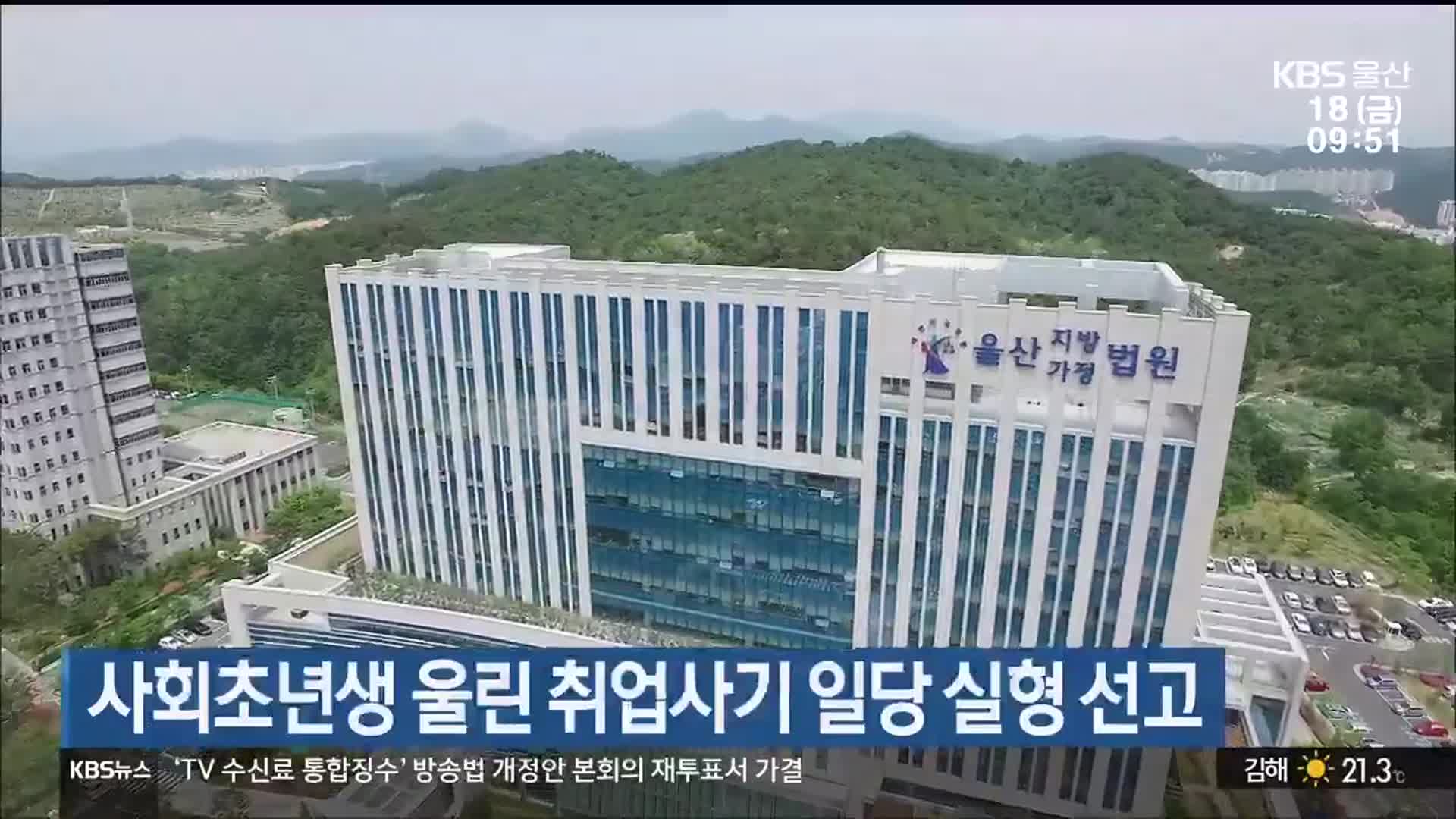 사회초년생 울린 취업사기 일당 실형 선고